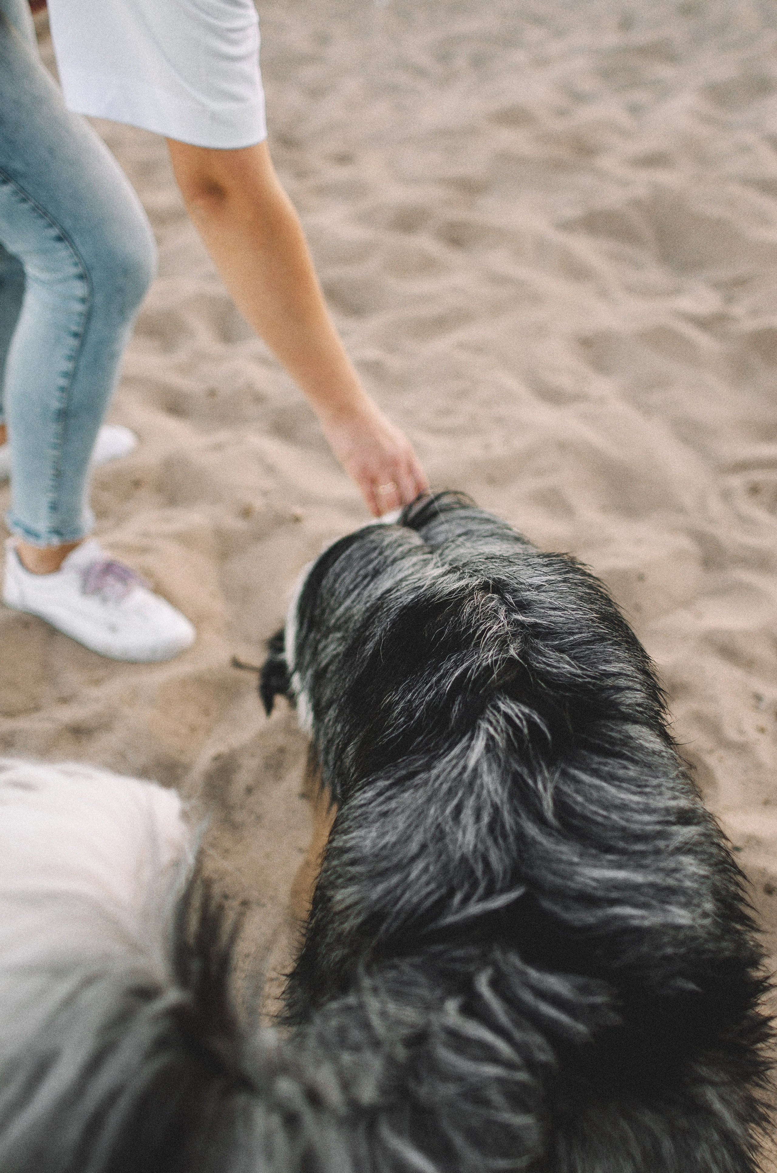 Таня и Бриллиант. Фотограф-анималист Богданова Полина