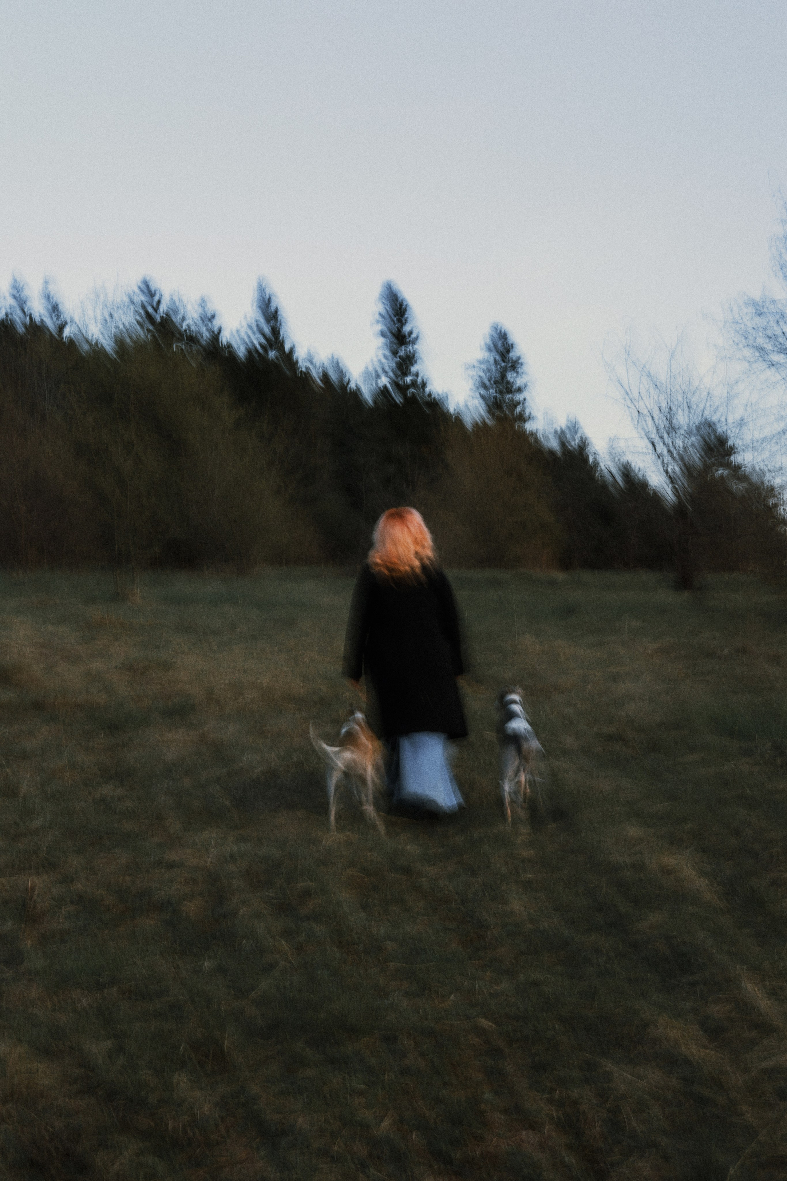 Вика, Джем и Белла. Фотограф-анималист Богданова Полина