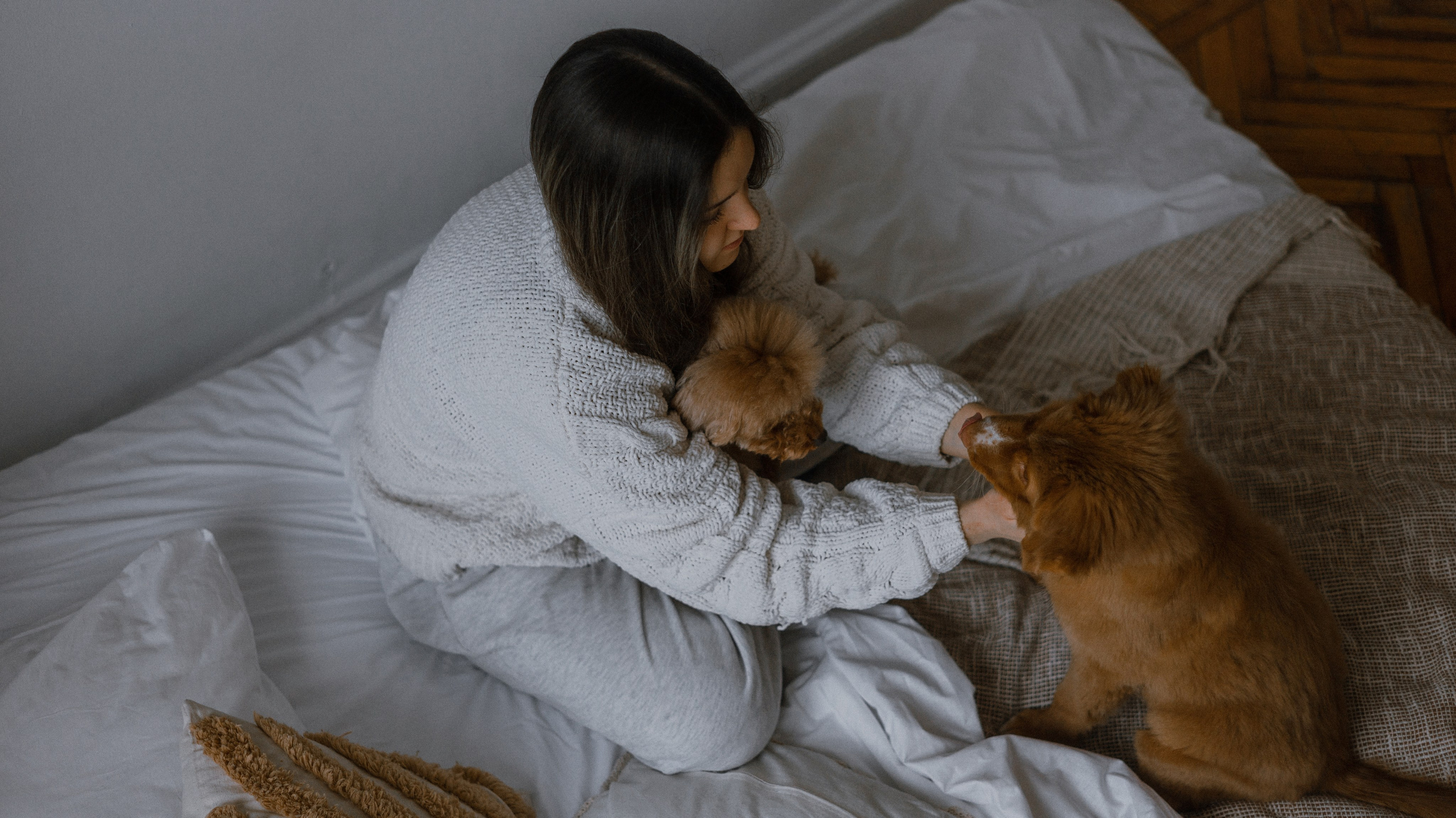 Маша, Одди и Нэвил. Фотограф-анималист Богданова Полина