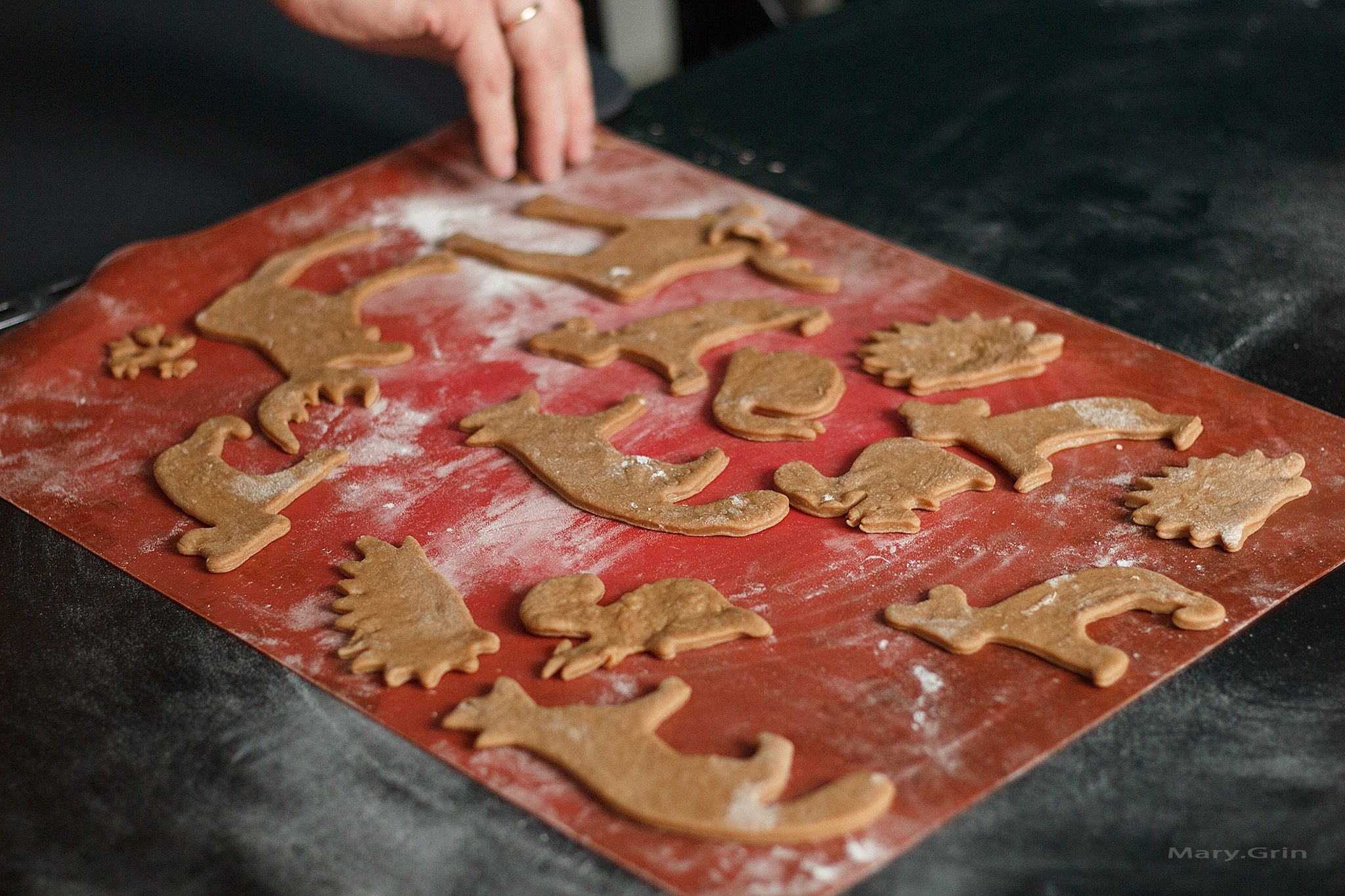 Домашняя съёмка у Маши блогера. Детский и семейный фотограф, фотограф мероприятий Нижний Новгород