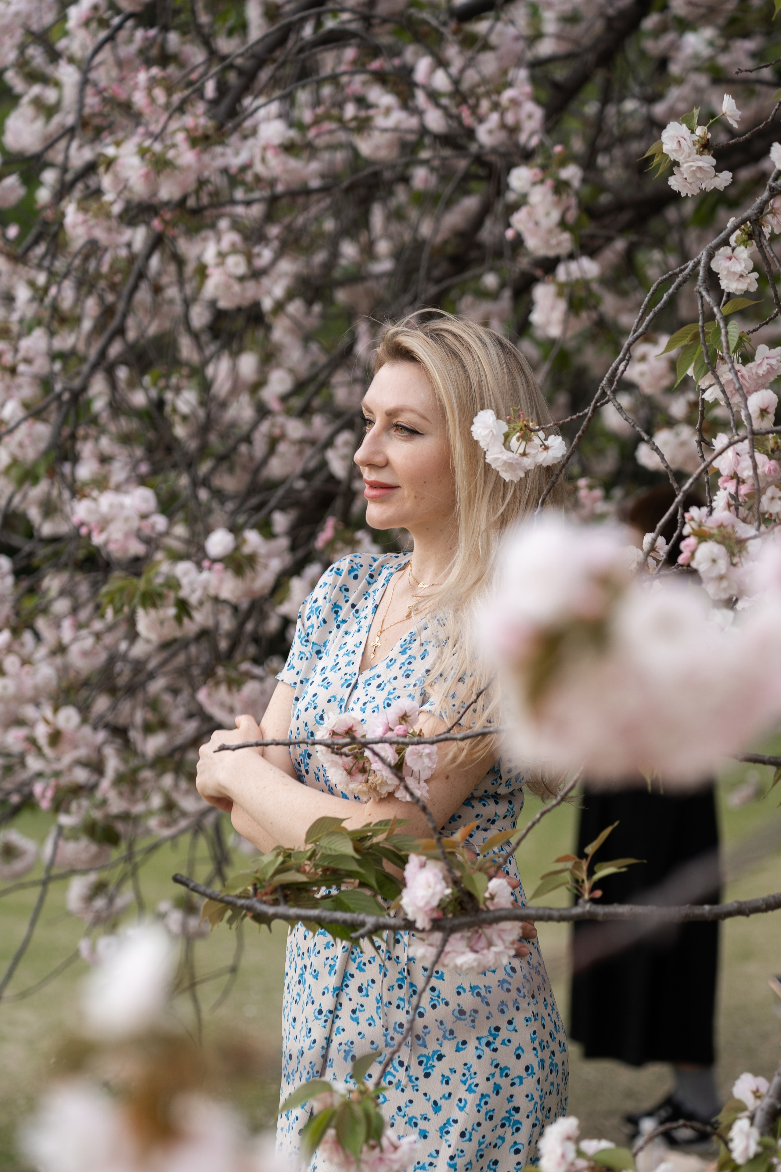 Sakura. Фотограф Алина Диева Москва | Токио