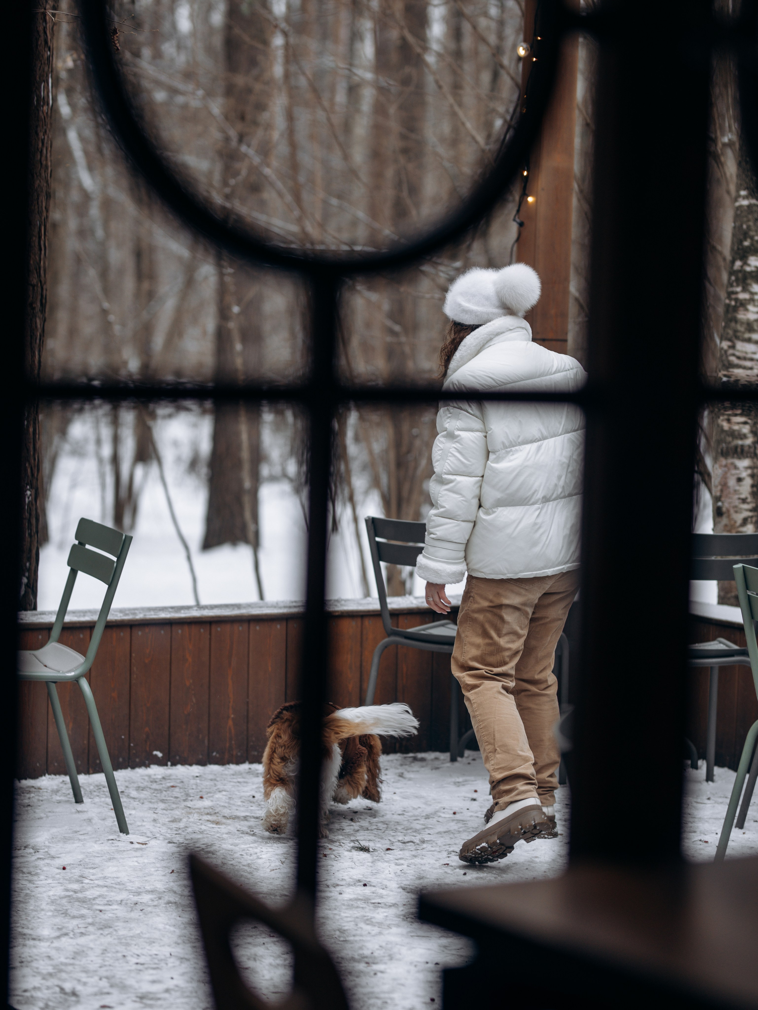 Дарси и Маша. Фотограф-анималист в Москве Кириллова Татьяна
