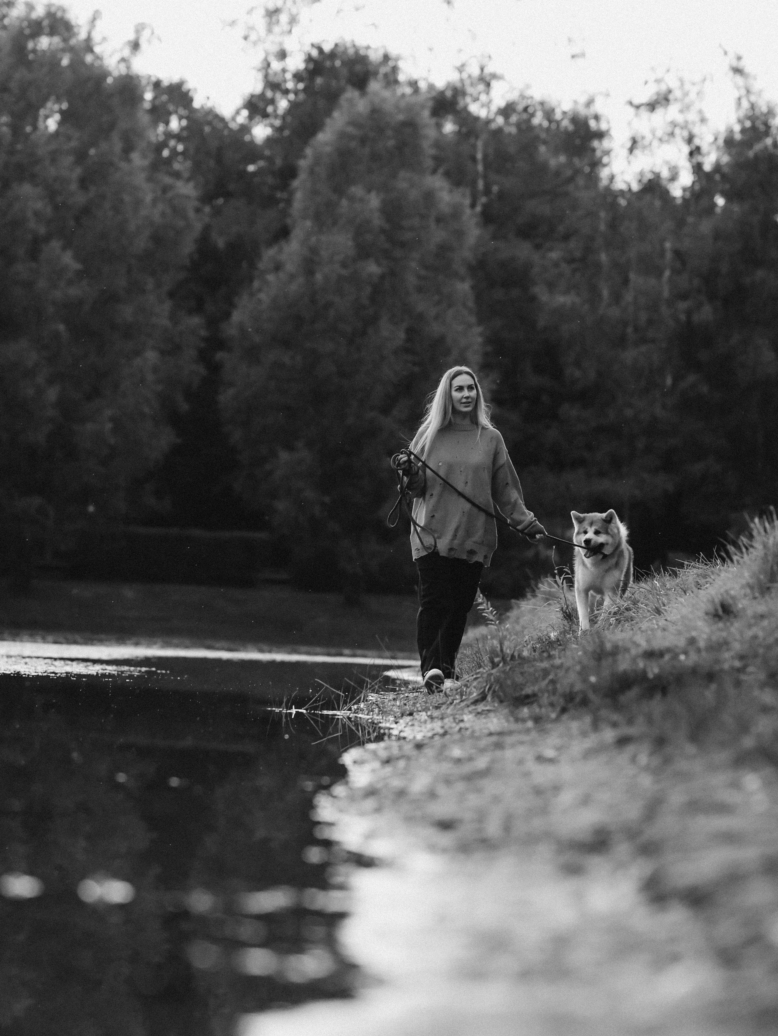Гранд, Вика и Степан. Фотограф-анималист в Москве Кириллова Татьяна