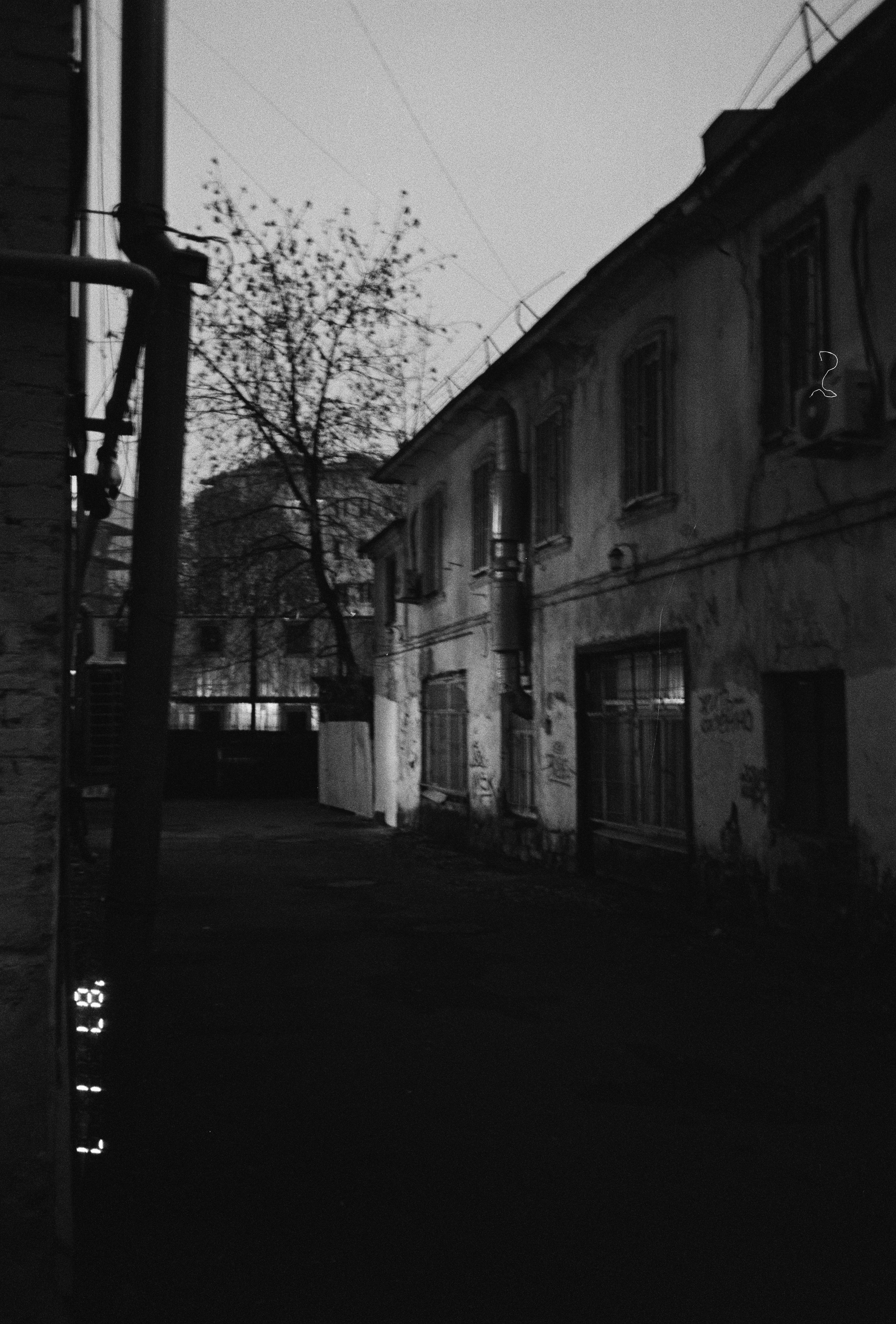 2024. Марфин. Фотограф