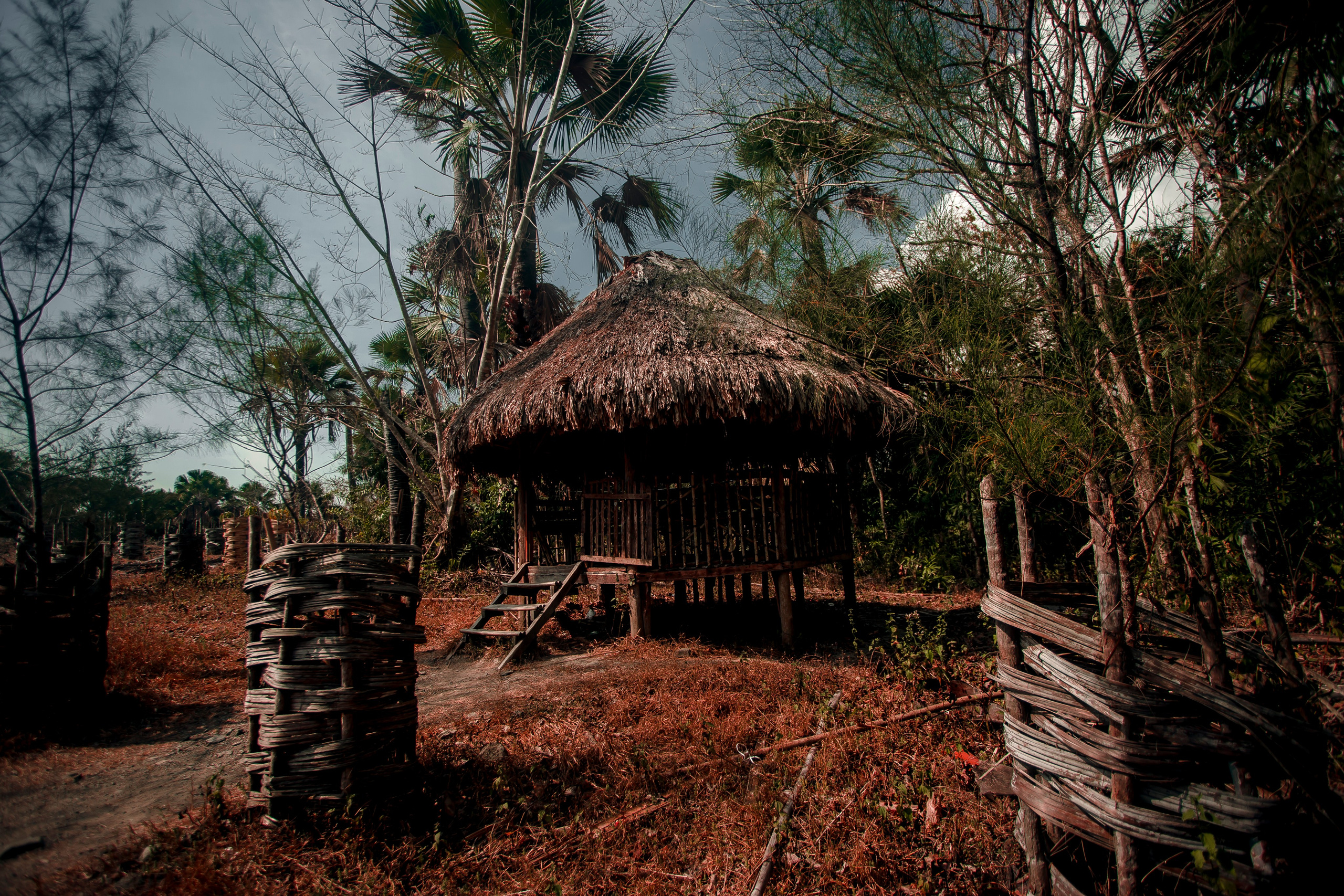 Andaman Islands, Part2. Art Photographer