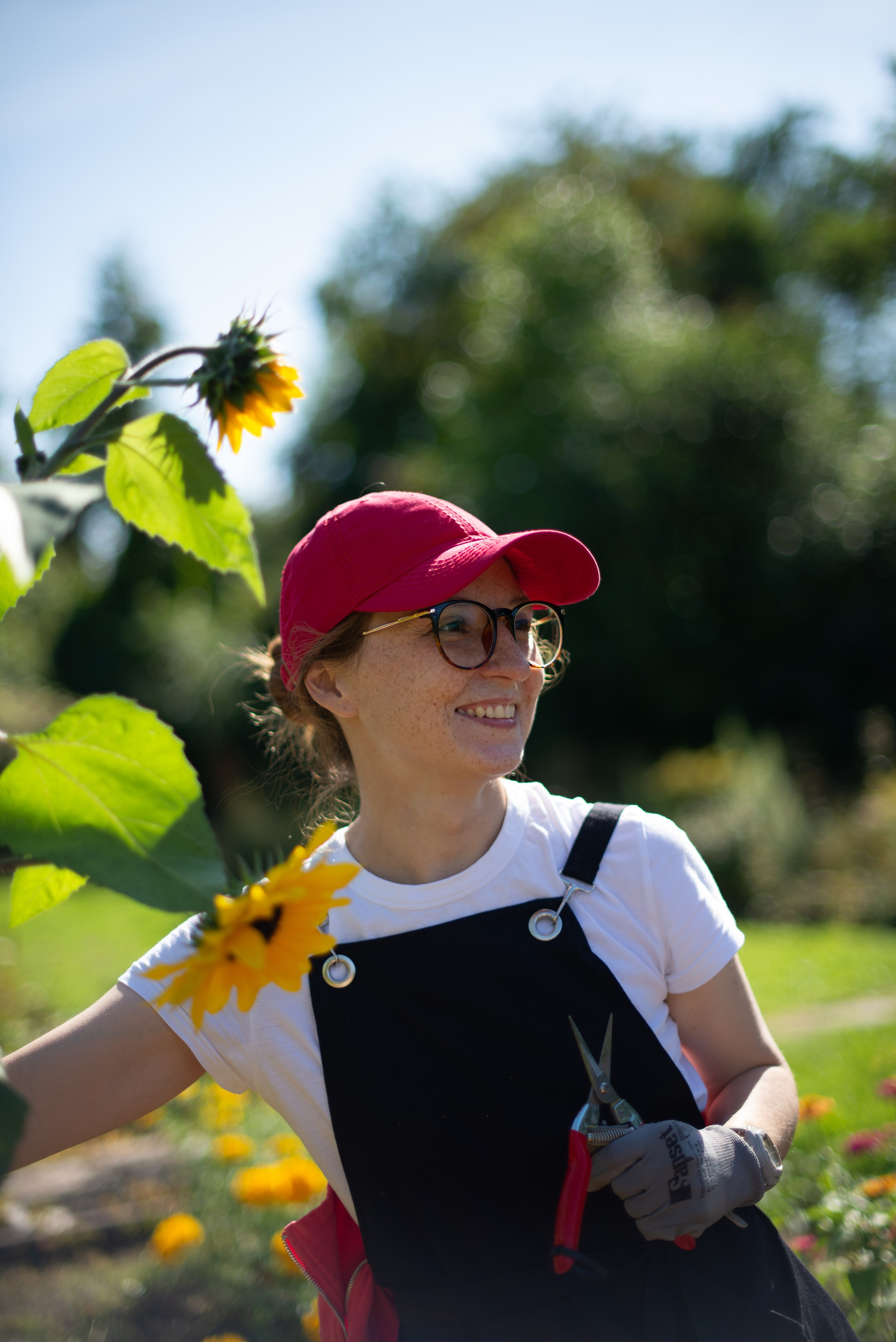 Цветы сада МГУ. Victoria Radjevna Репортажный Фотограф — Видеограф Москва • Санкт-Петербург