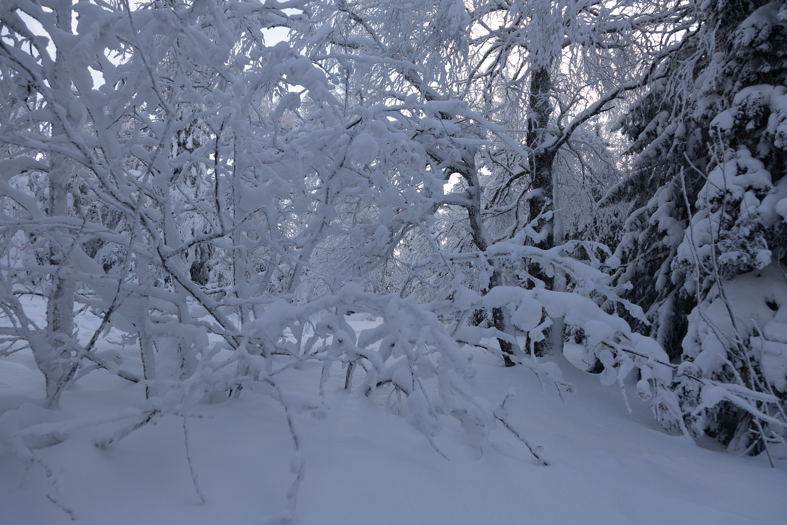 Черная скала. Sandman Realm