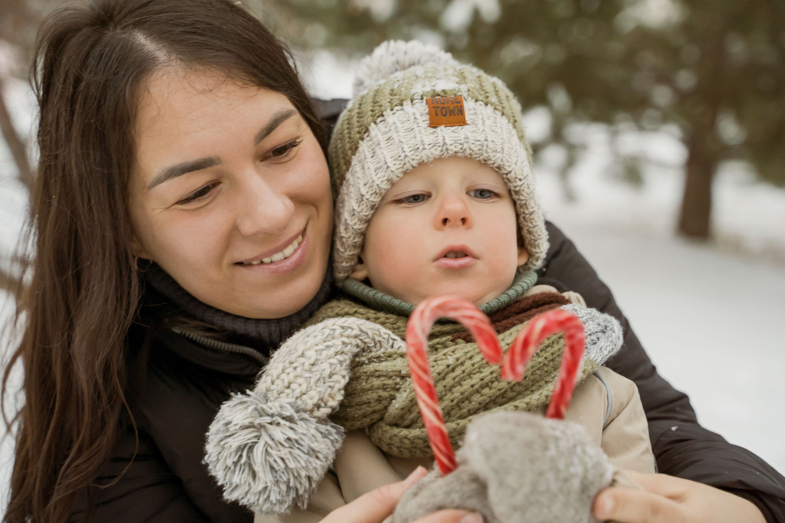 Зимняя прогулка. Главная
