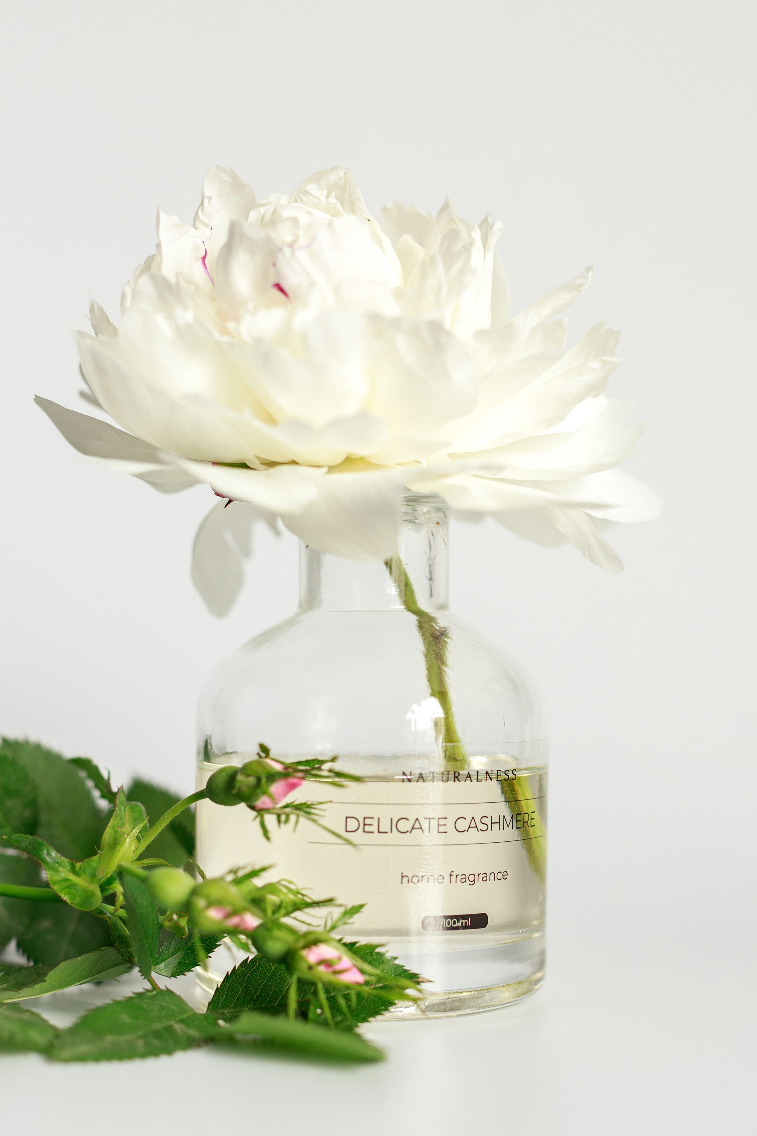 Диффузоры. Семейный и детский фотограф в Краснодаре Ирина Лаврецкая