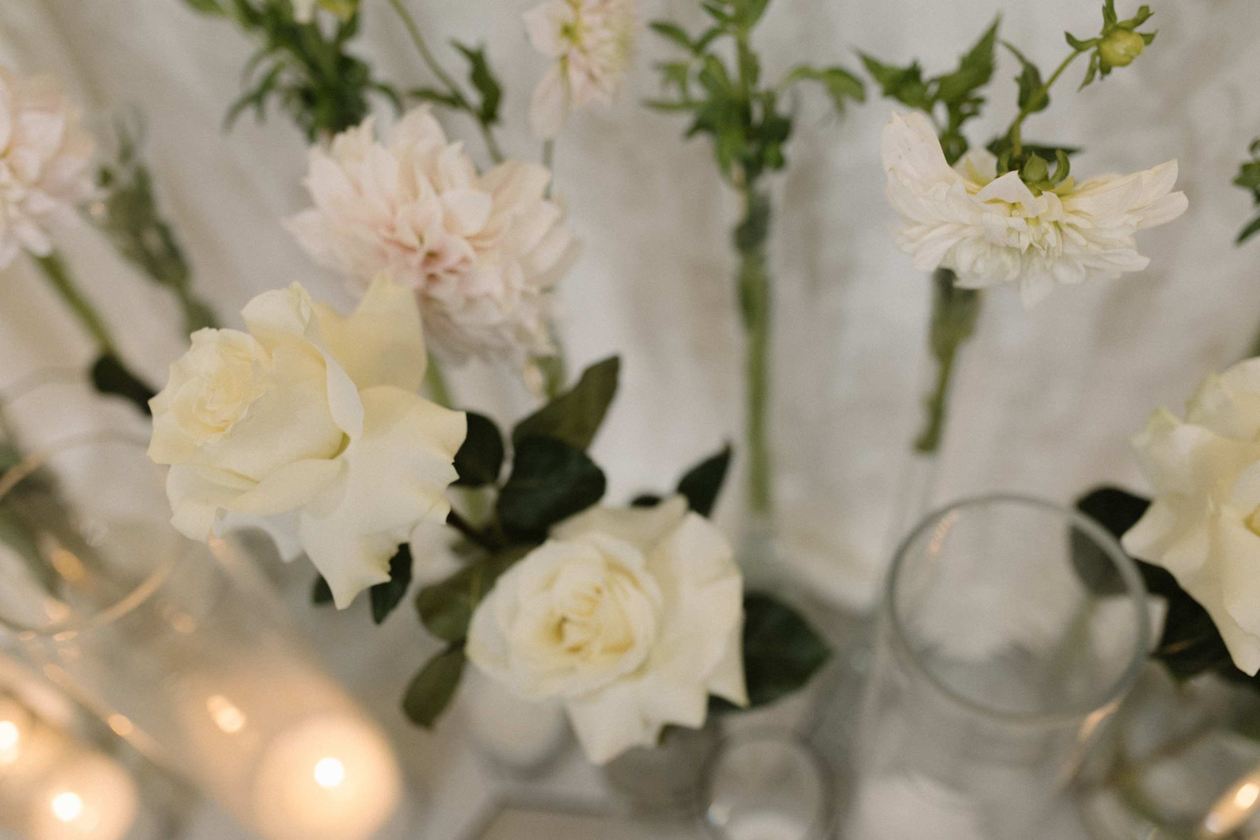 Крылья бабочки. Фотограф Диана Хасанова, г. Казань