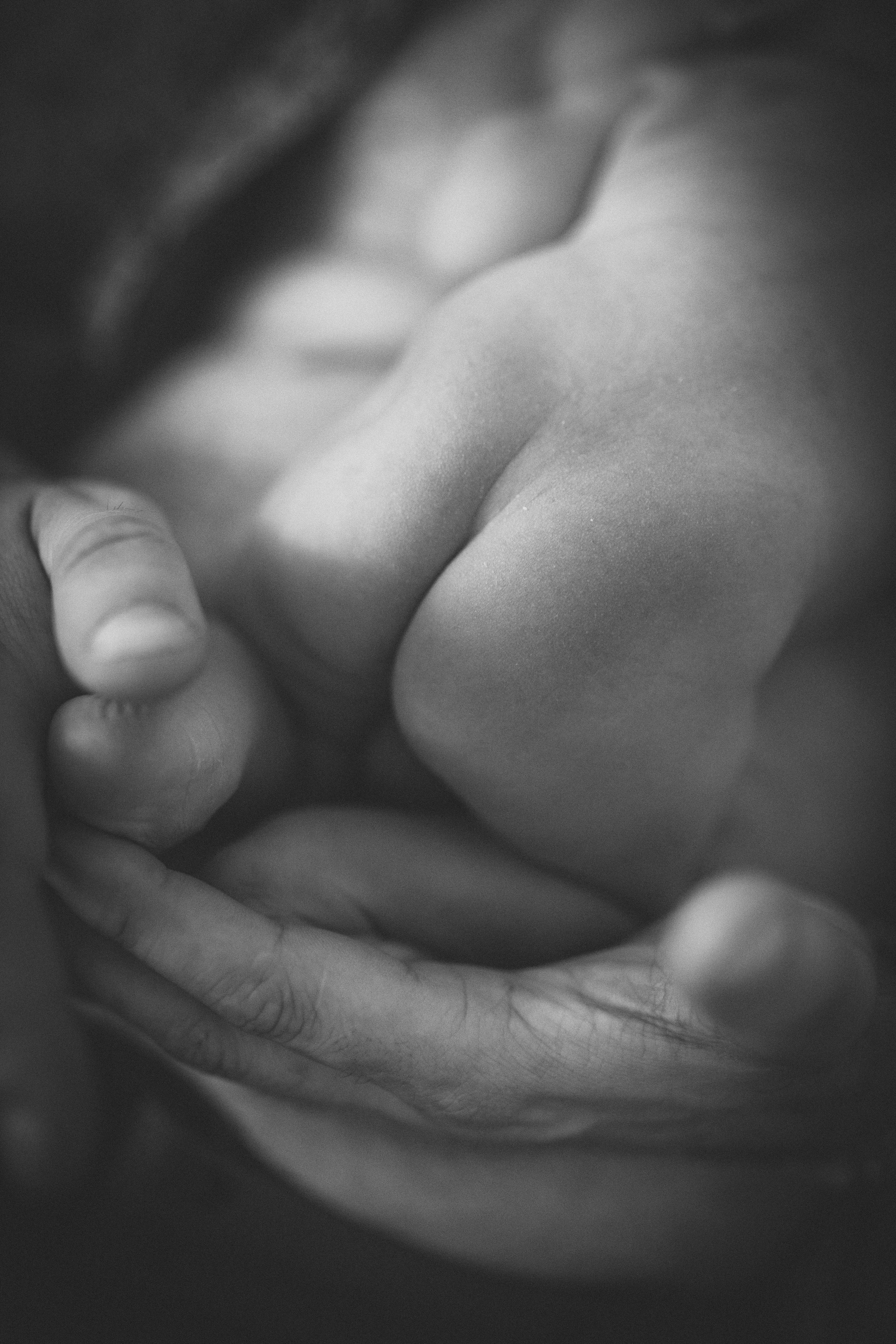 Рождение Радомира. Семейный фотограф и фотограф на роды в Ростове-на-Дону Мухина Виктория