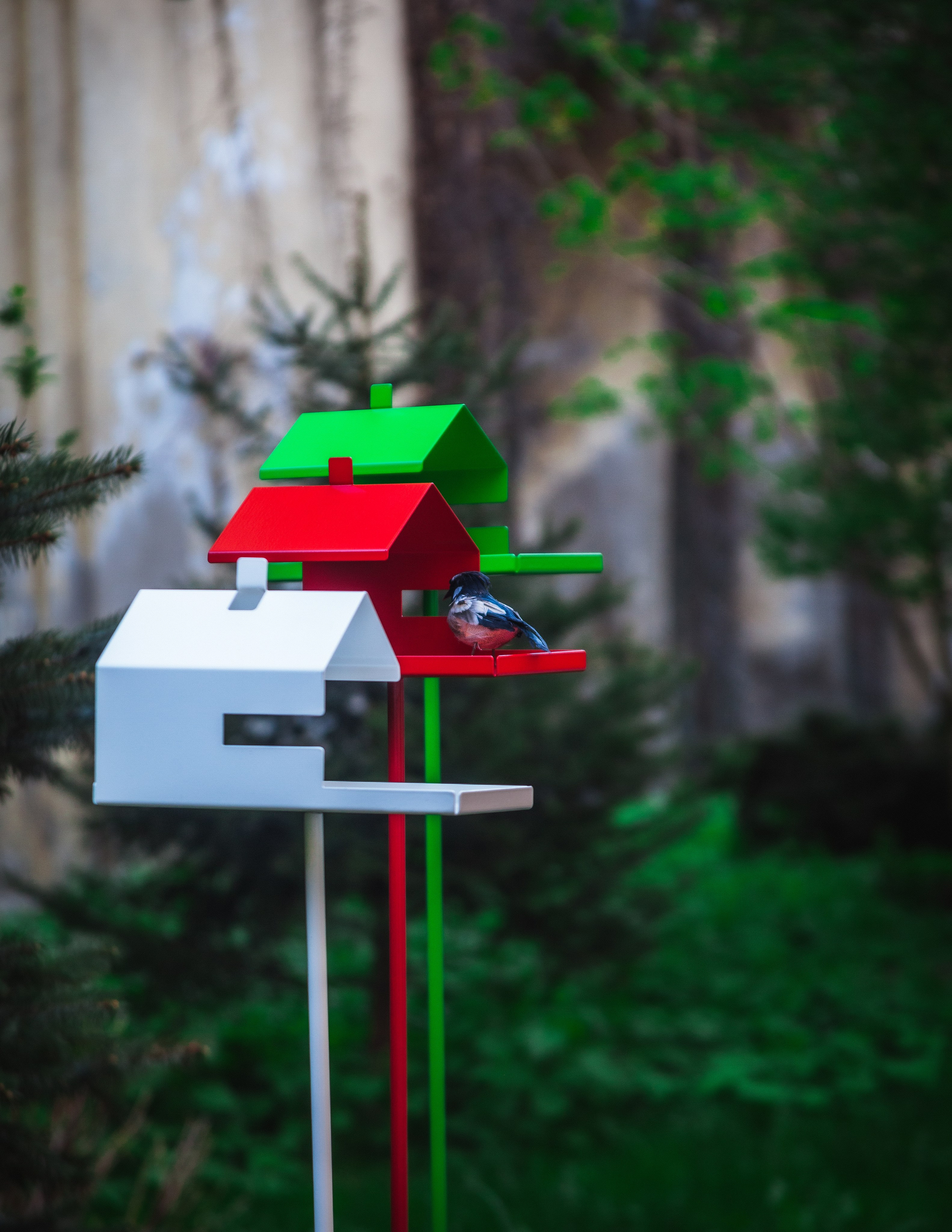 Интерьерные съемки. DIESPERADOSS photo