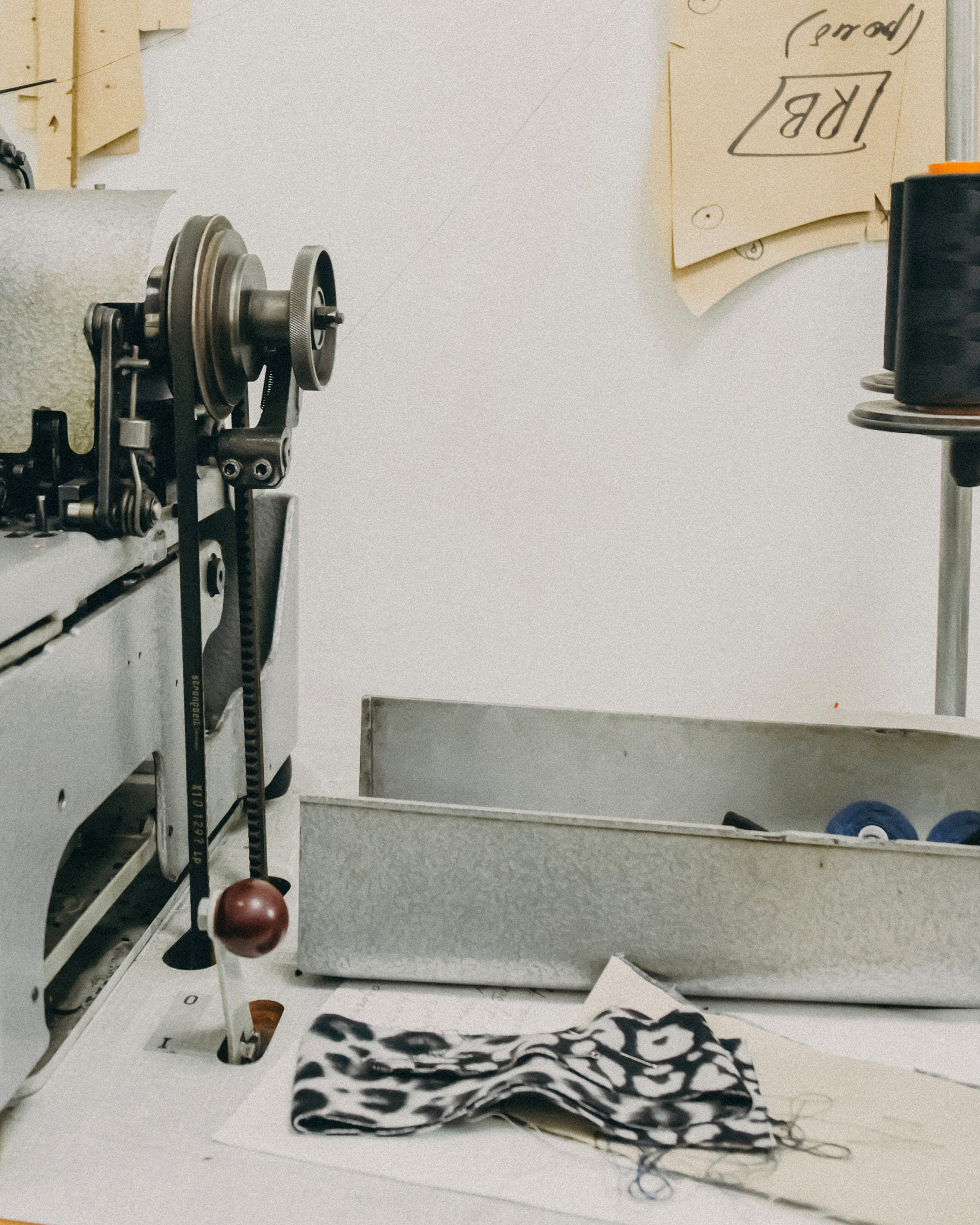 Лиза. Портретный фотограф Ванинен Анастасия. Санкт-Петербург