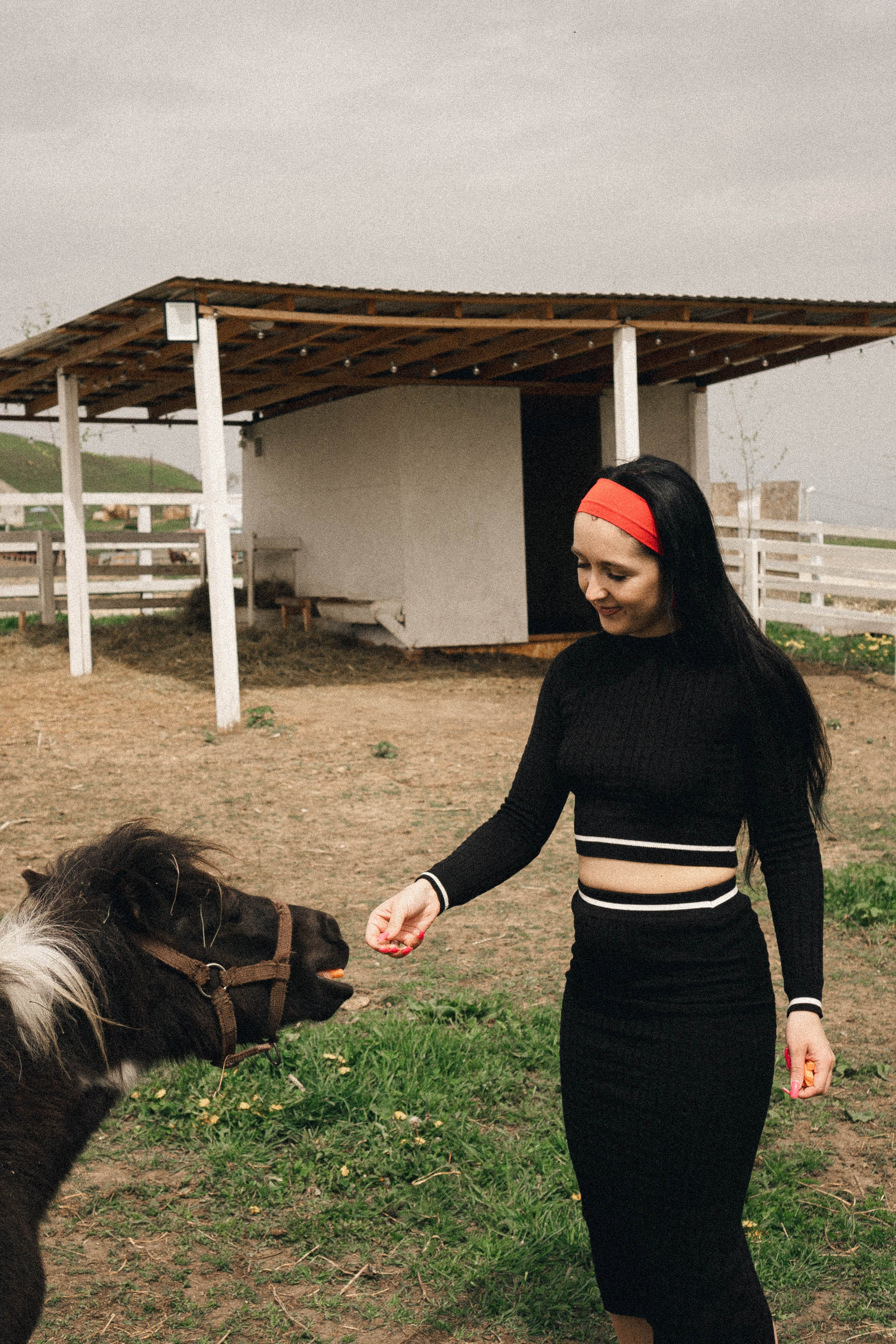 Ферма Альпак. Профессиональный фотограф, Санкт-Петербург — Виктория Богомолова