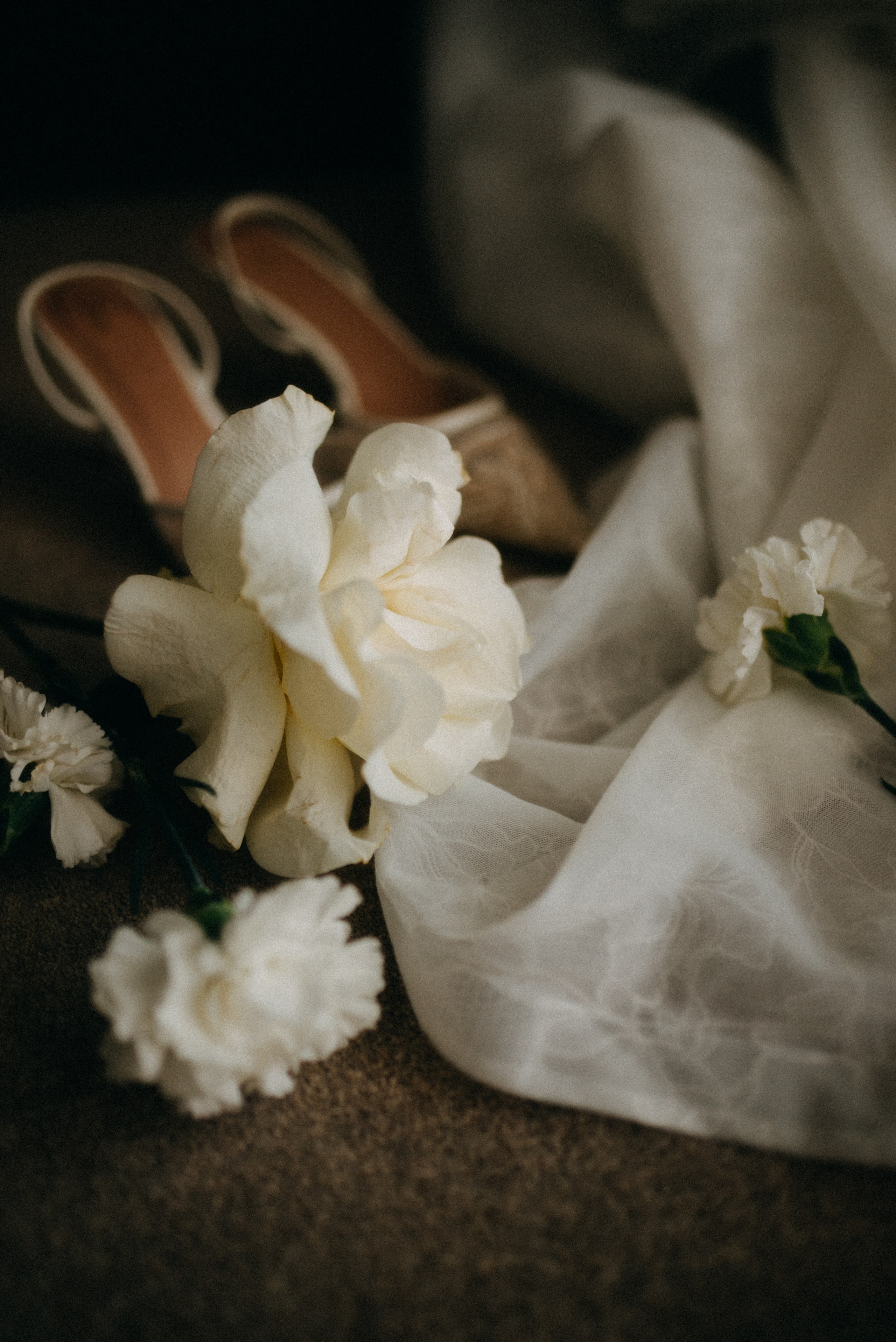 Александр и Виктория. Фотограф Санкт-Петербург, Новороссийск