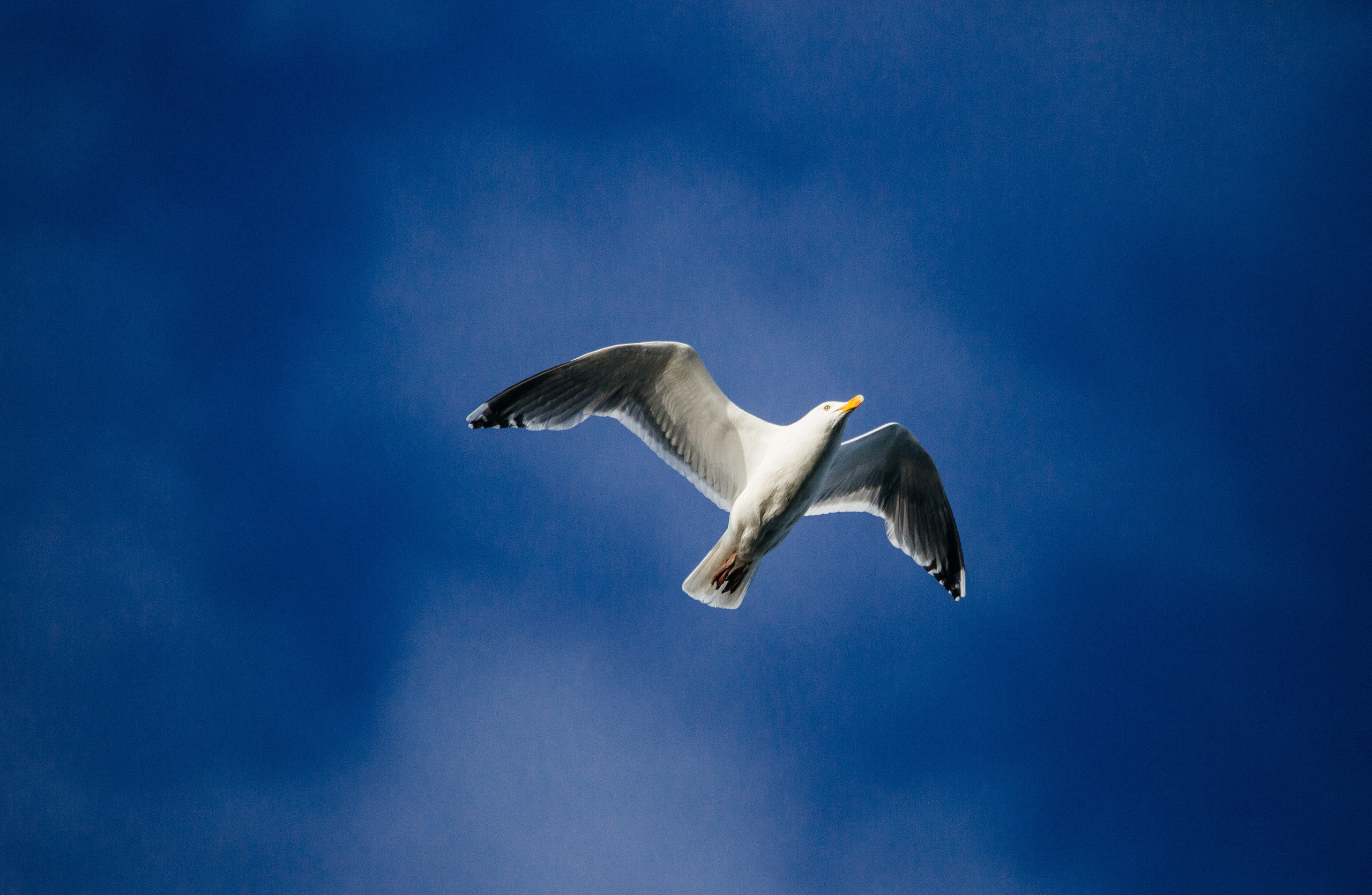 ЭТНОПАРК ГЕОГРАФИКА. Создание контента | Фото | Видеосъемка | Александр Ярков