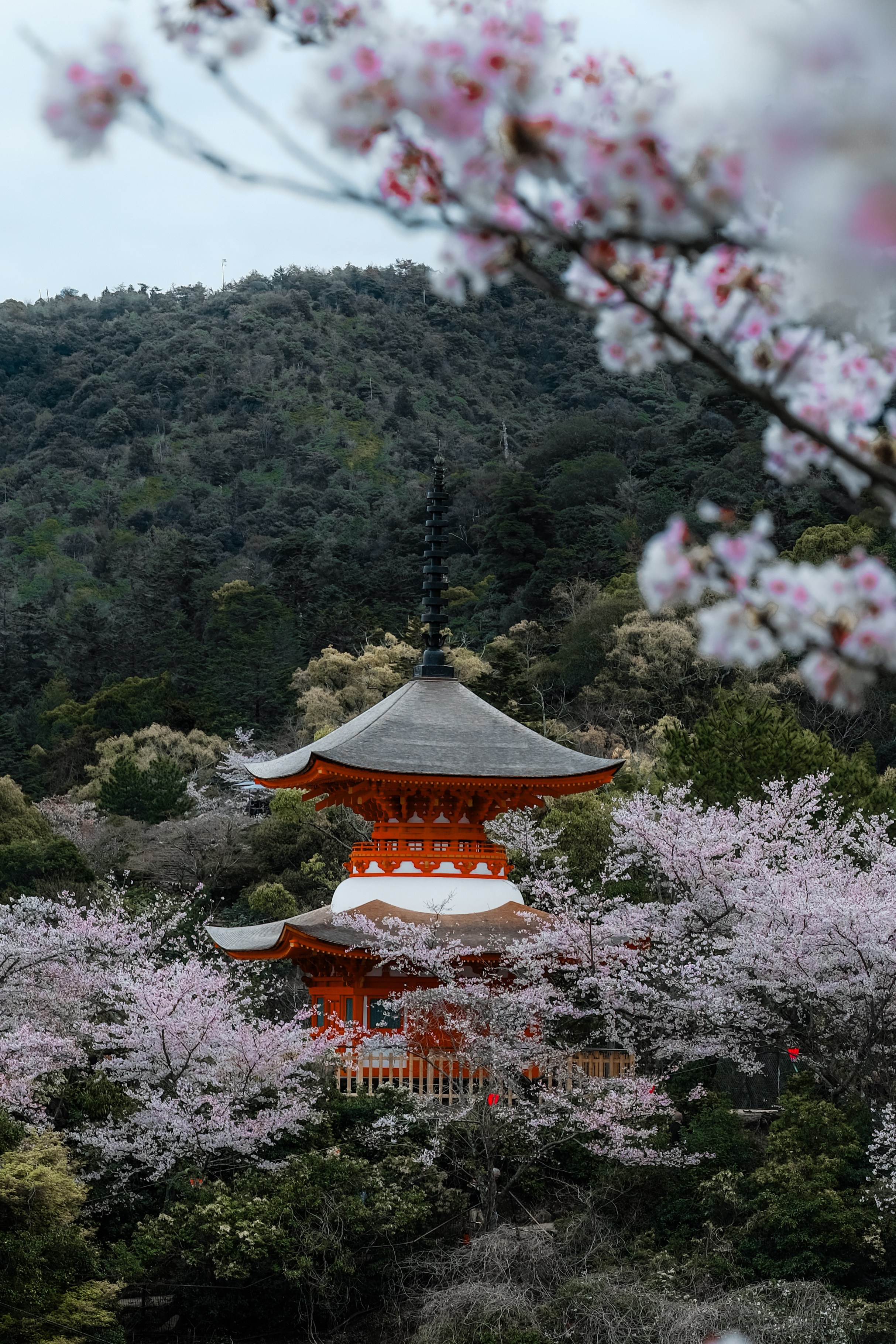 Nippon. Главная