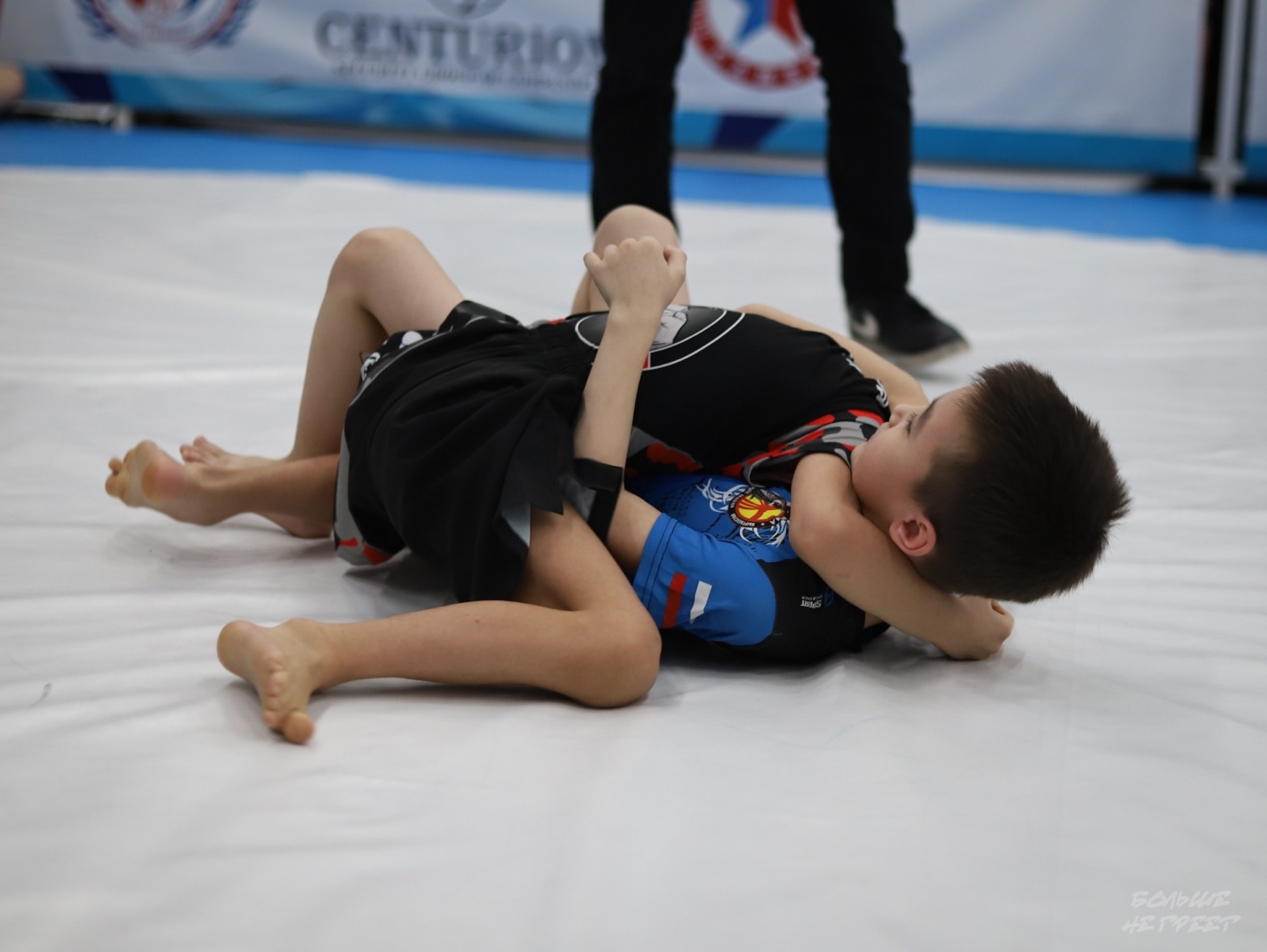 GORILLA PRIDE CUP. Больше не греет