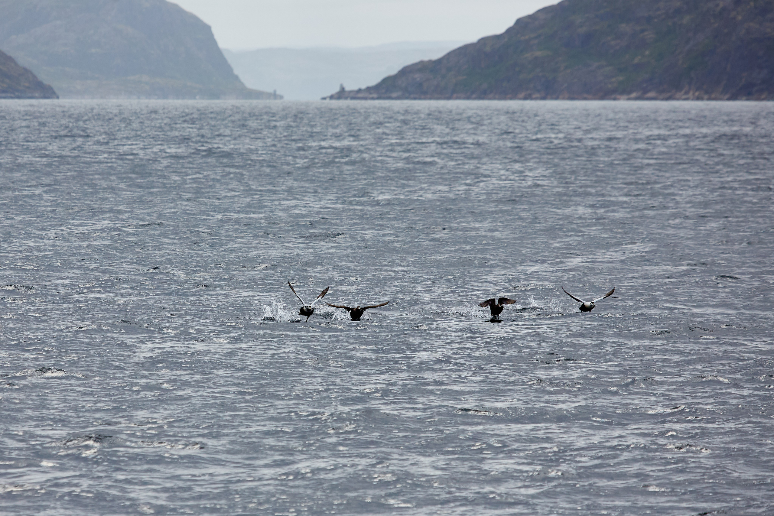 Баренцево море. Пейзажи Крайнего Севера. Баренцево море, Рыбачий, Средний, Немецкий