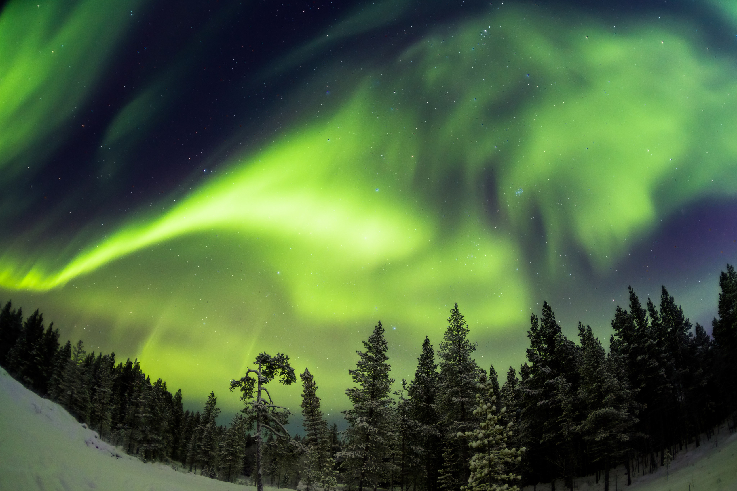 Зима. Пейзажи Крайнего Севера. Баренцево море, Рыбачий, Средний, Немецкий