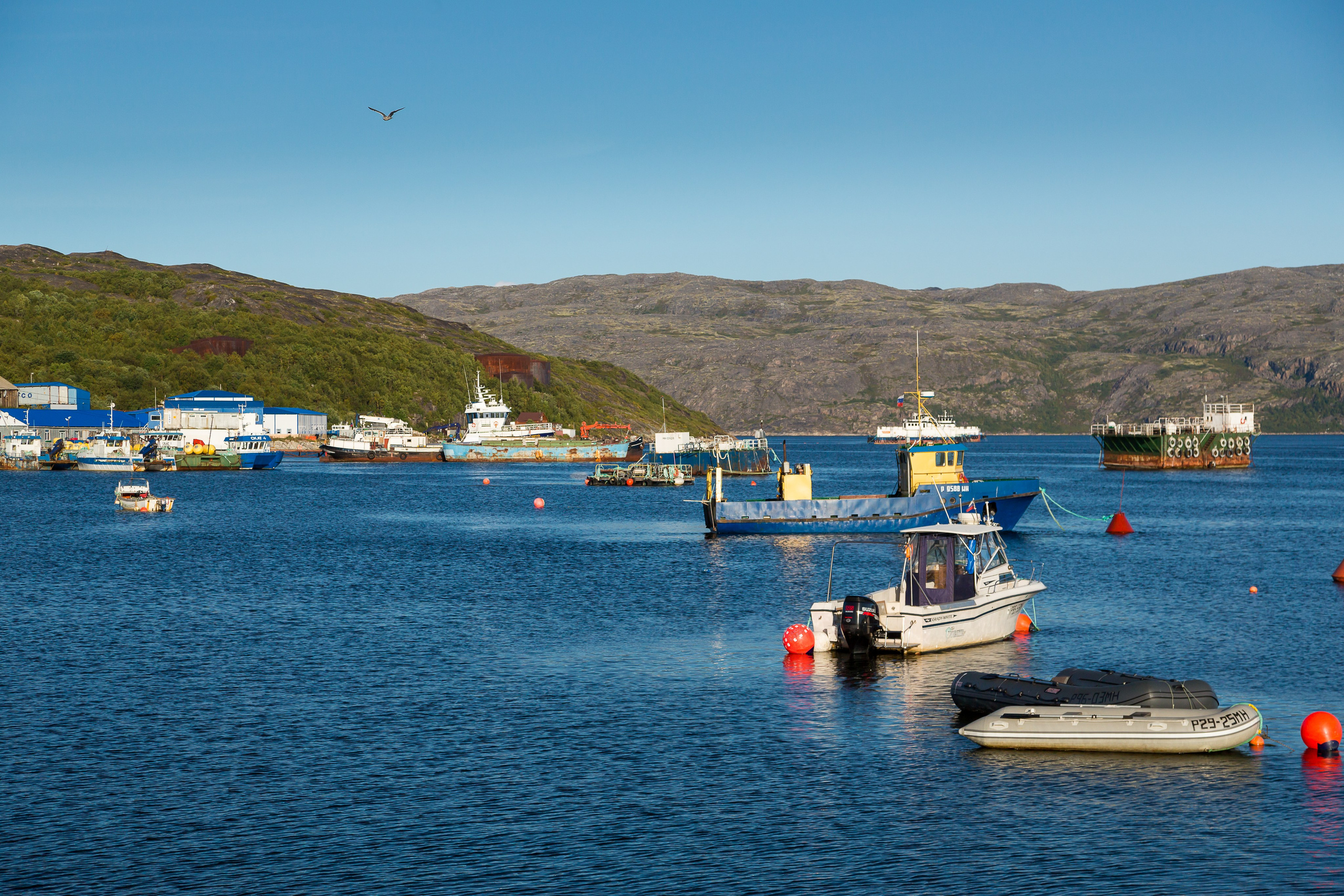 Печенга — край сосновой реки. Пейзажи Крайнего Севера. Баренцево море, Рыбачий, Средний, Немецкий