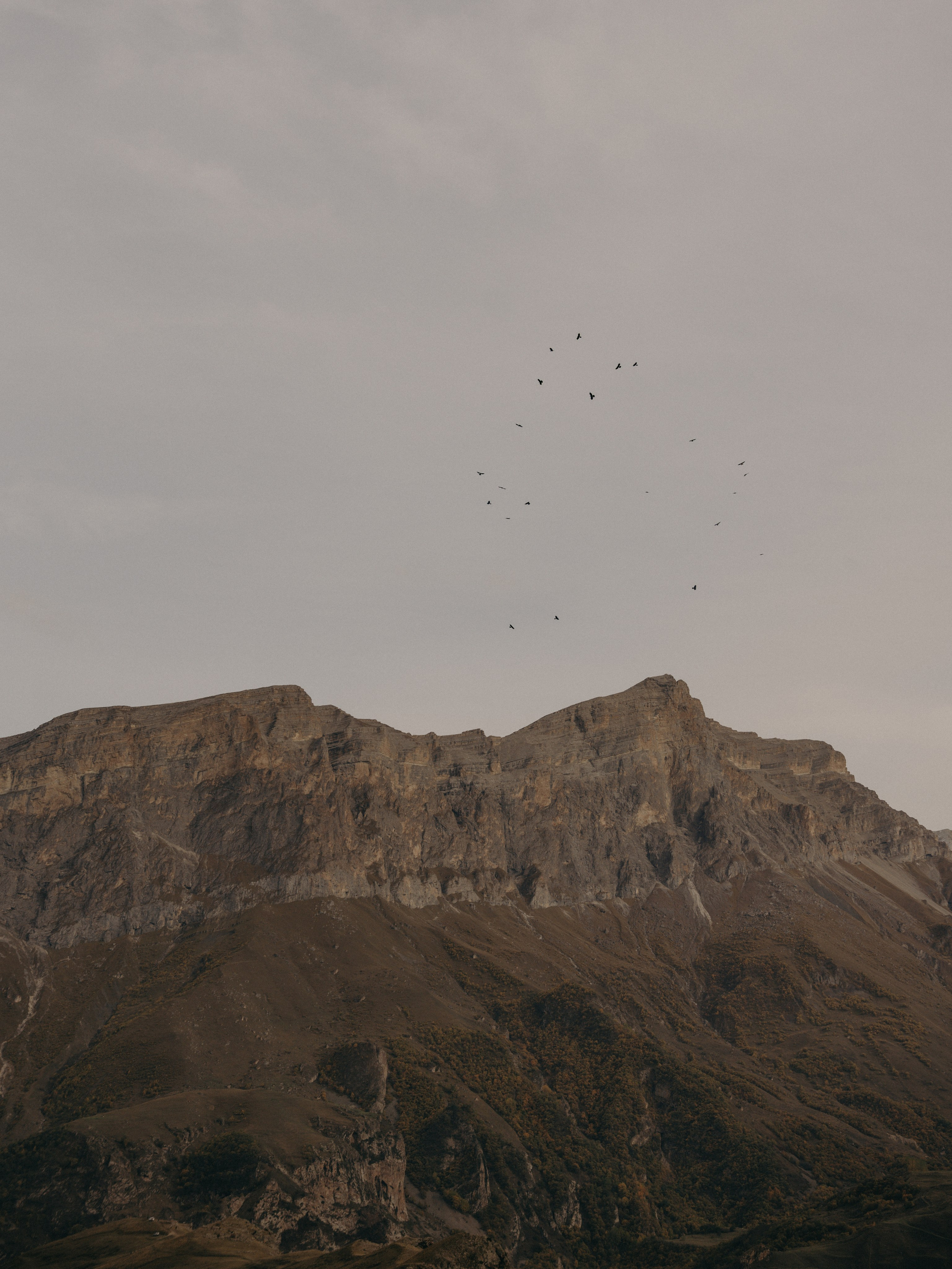 В&Т. Свадебный фотограф Ирина Беляева Пятигорск|Кисловодск|Эльбрус|Домбай