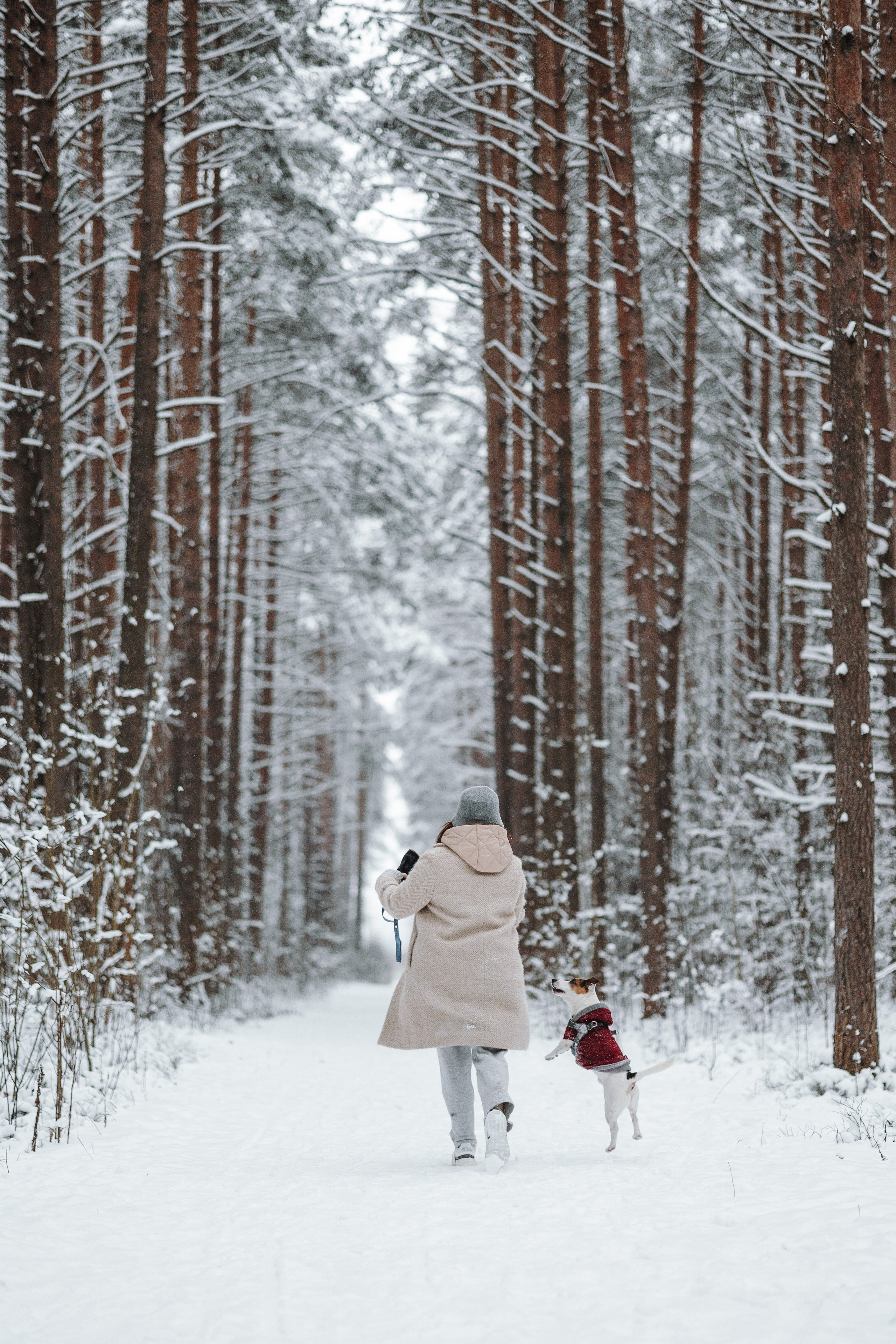 Мики и его семья. Фотограф — Анималист | Санкт-Петербург
