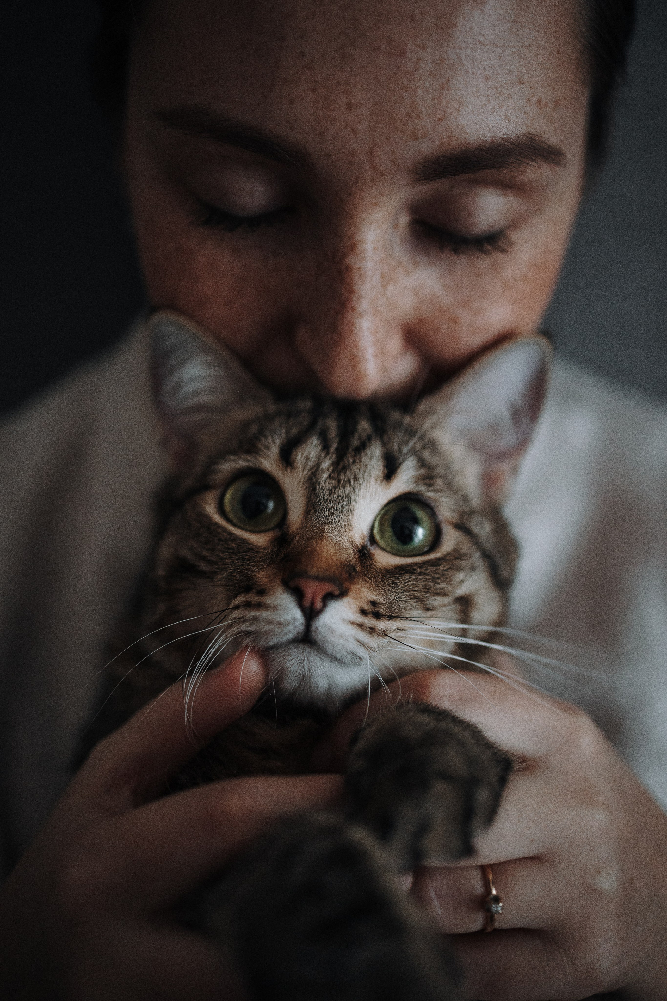 Мася и ее семья. Фотограф — Анималист | Санкт-Петербург