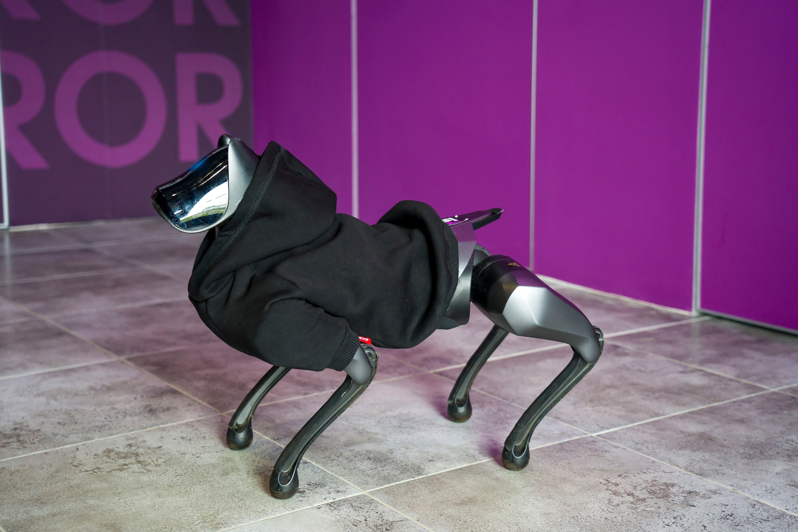 Фитнес-студия. Фотограф в Санкт-Петербурге. Репортажная и все съёмки для бизнеса