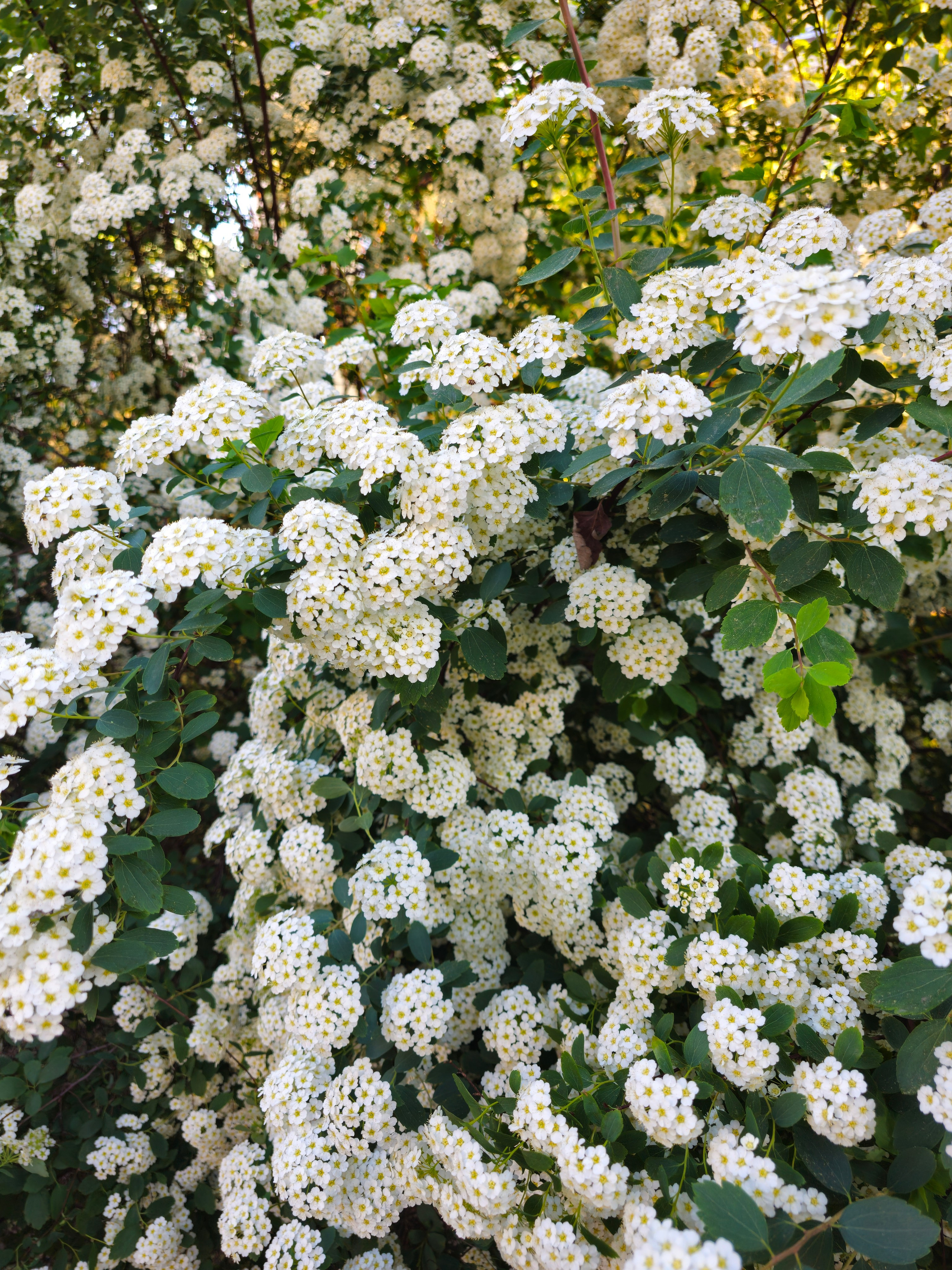 Весенние фото прогулки по Москве