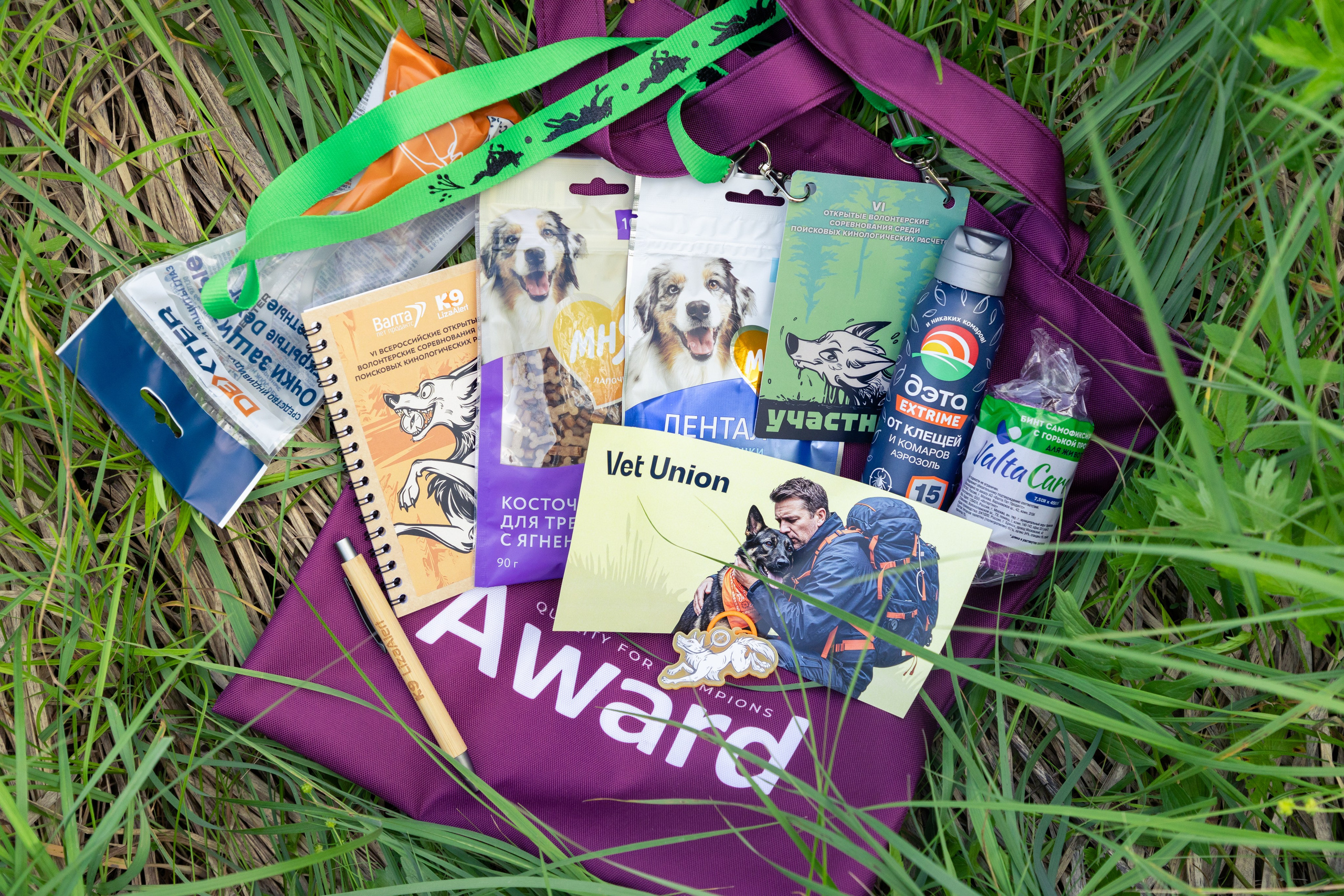 ДПСО «ЛизаАлерт». Главная