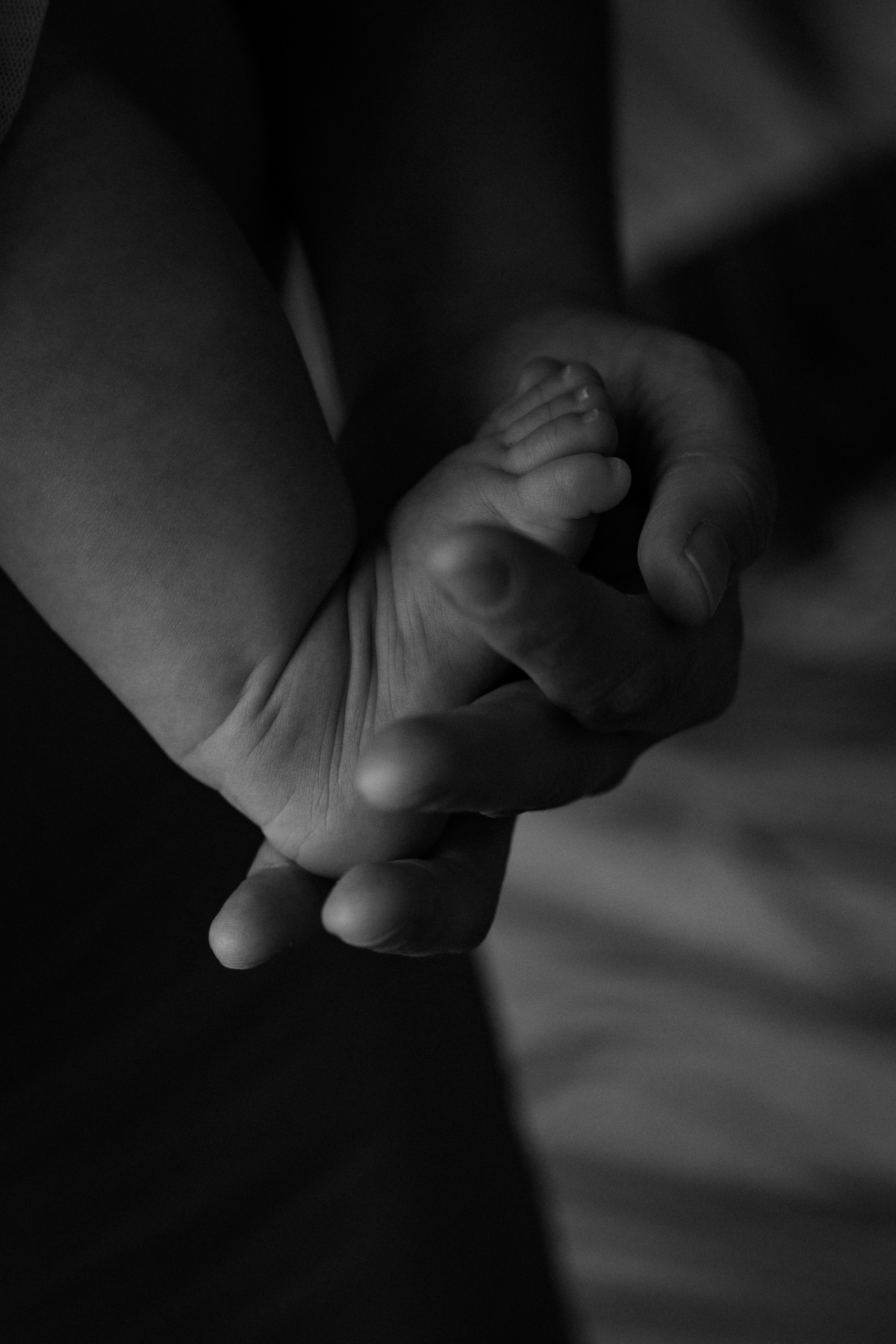 Фотосессия для мамы с дочерьми. Фотограф в Москве и Нижнем Новгороде Никонова Анастасия