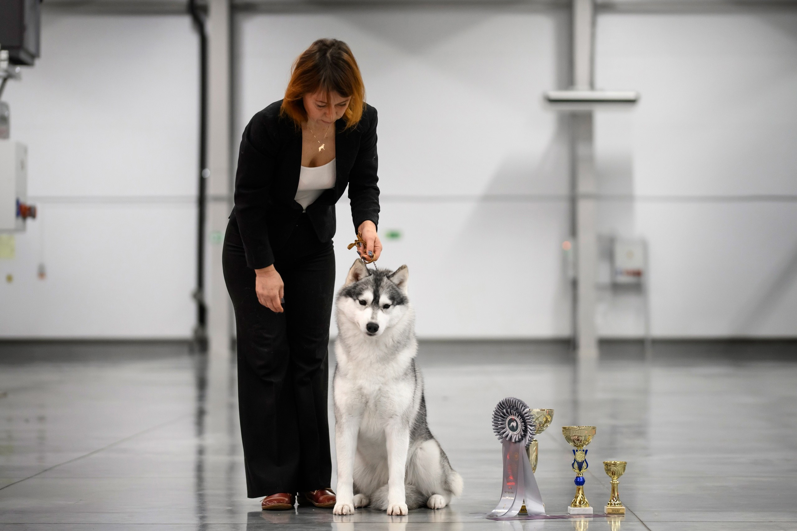 Собаки. FASHION ФОТОГРАФ КАЗАНЬ