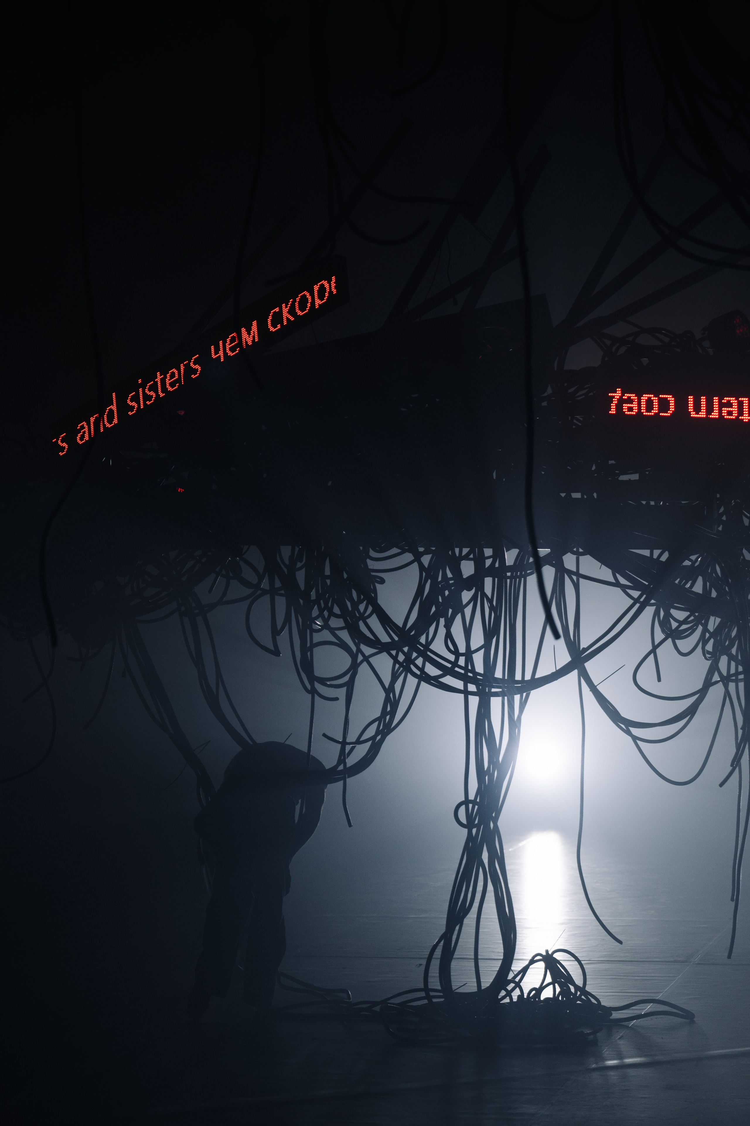 PERFORMA, The Hour of the Horse. @tomrus: Рустам Шагиморданов — фотограф