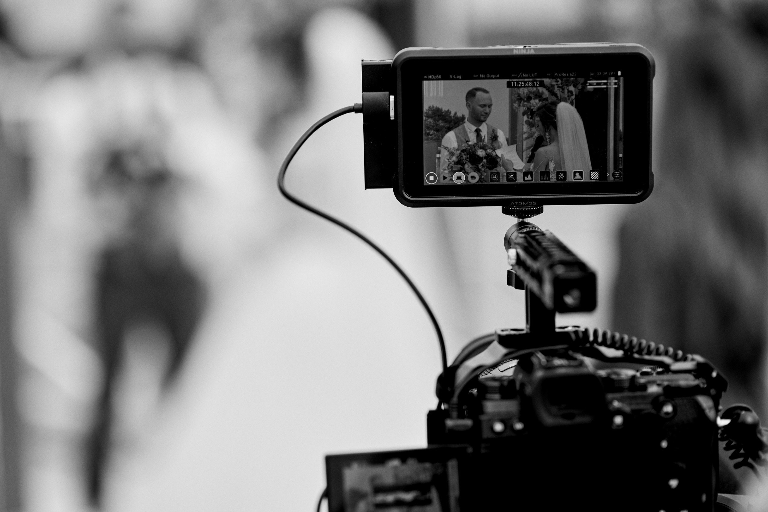 Rock 'N' Roll. Свадебный и портретный фотограф Пётр Ладанов