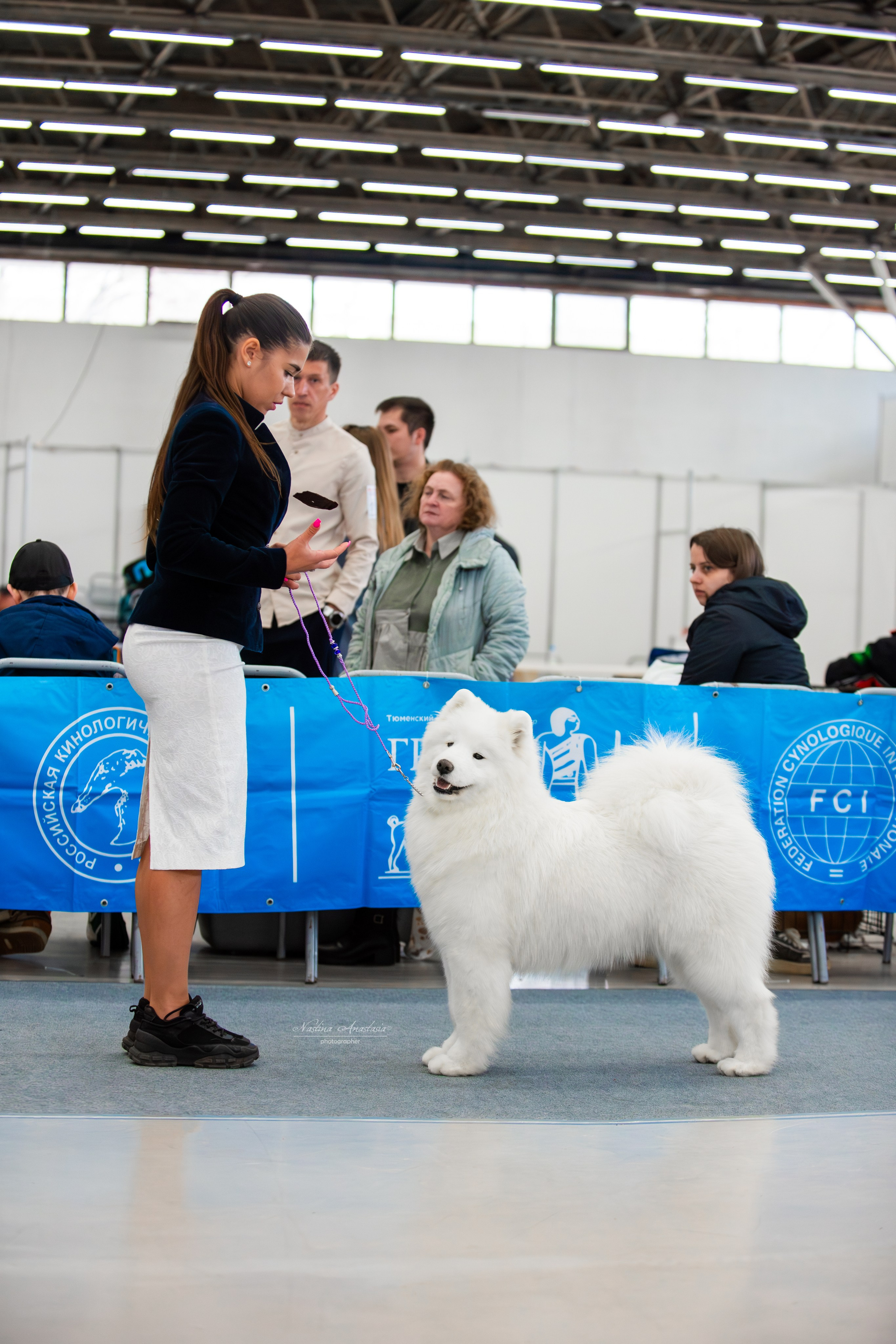 Выставки. Фотограф — Анималист