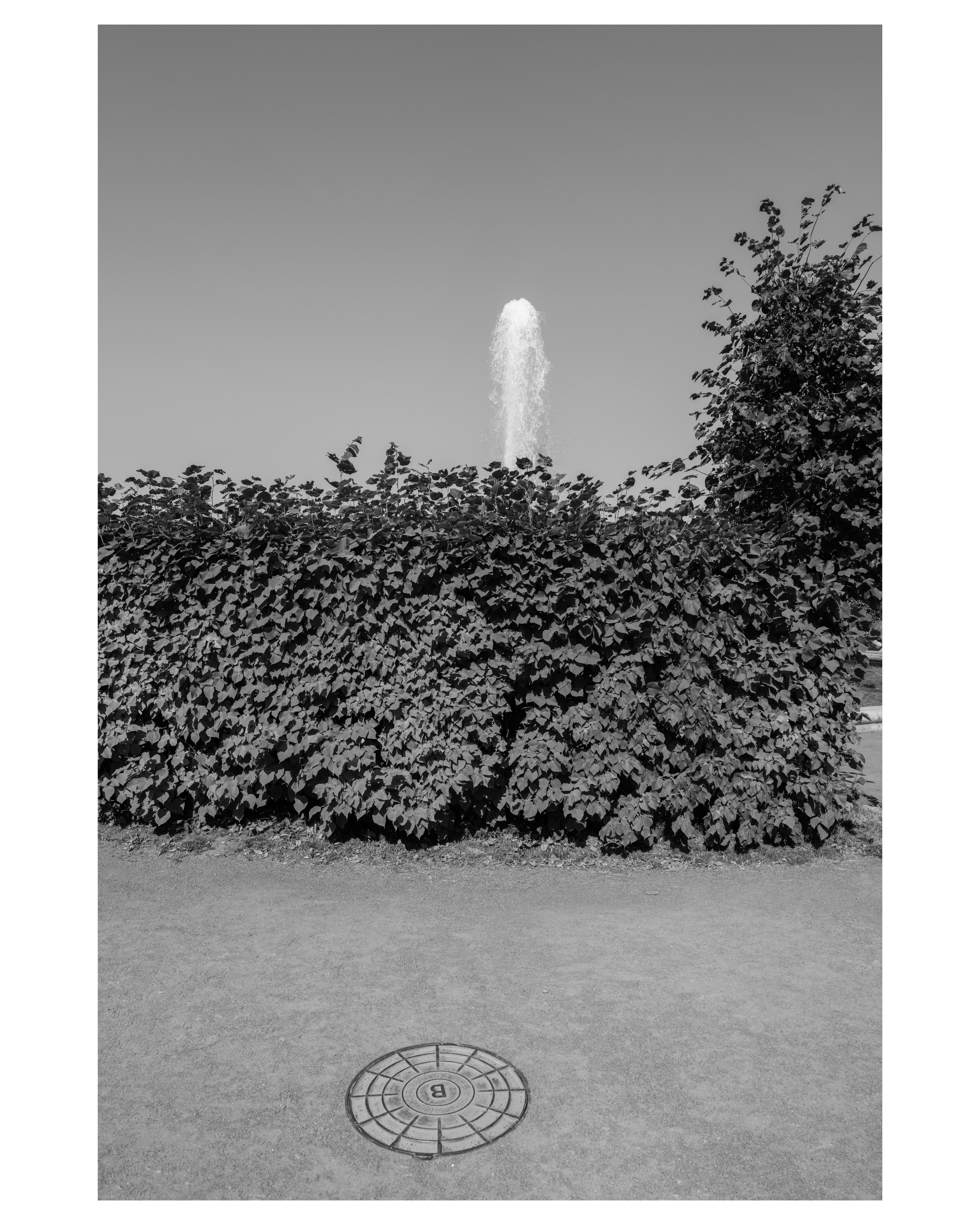 Особый взгляд на людей. Сергей Гаврилов, фотограф