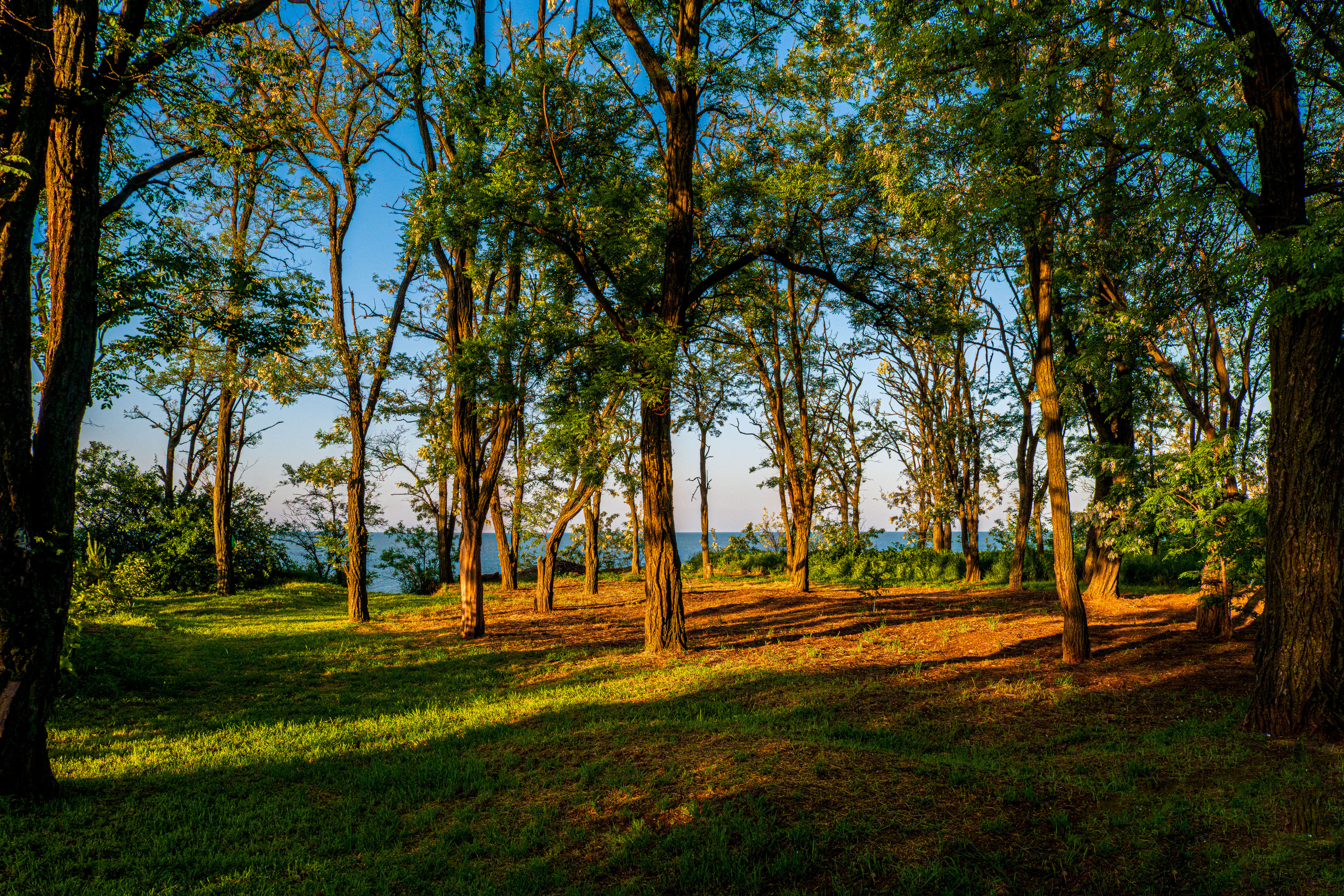 Фото Павла Крайникова