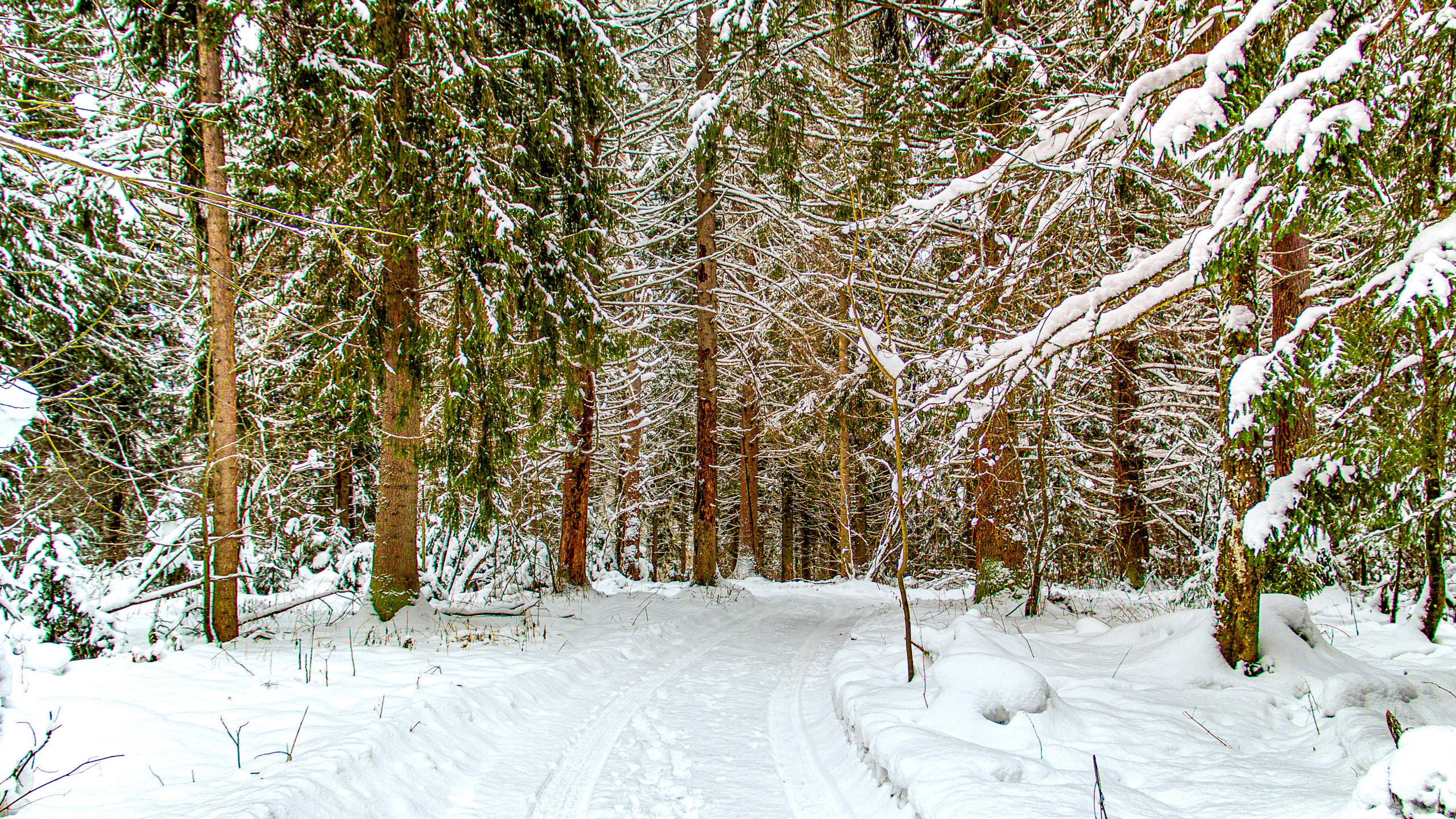Фото Павла Крайникова