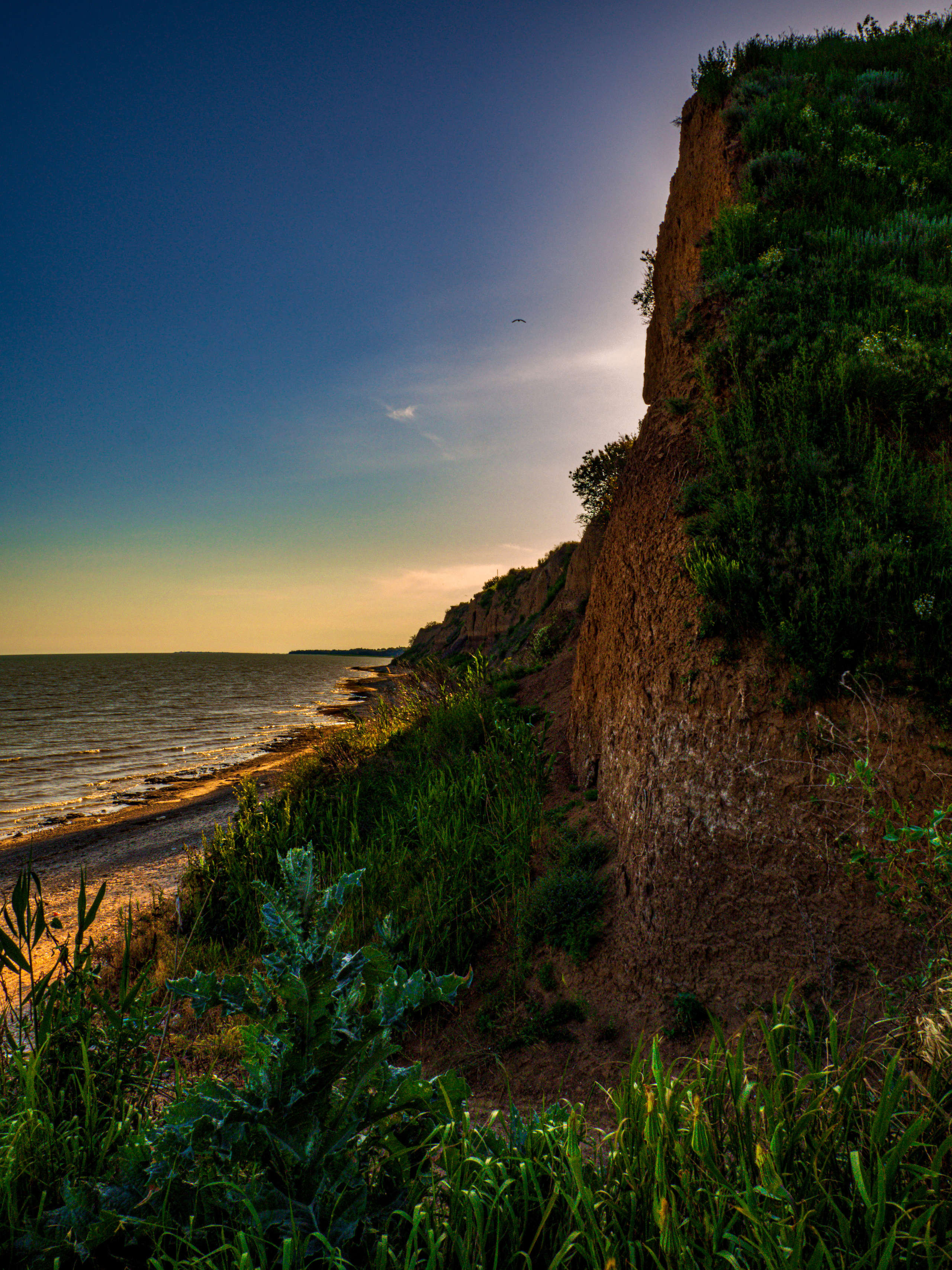 Фото Павла Крайникова