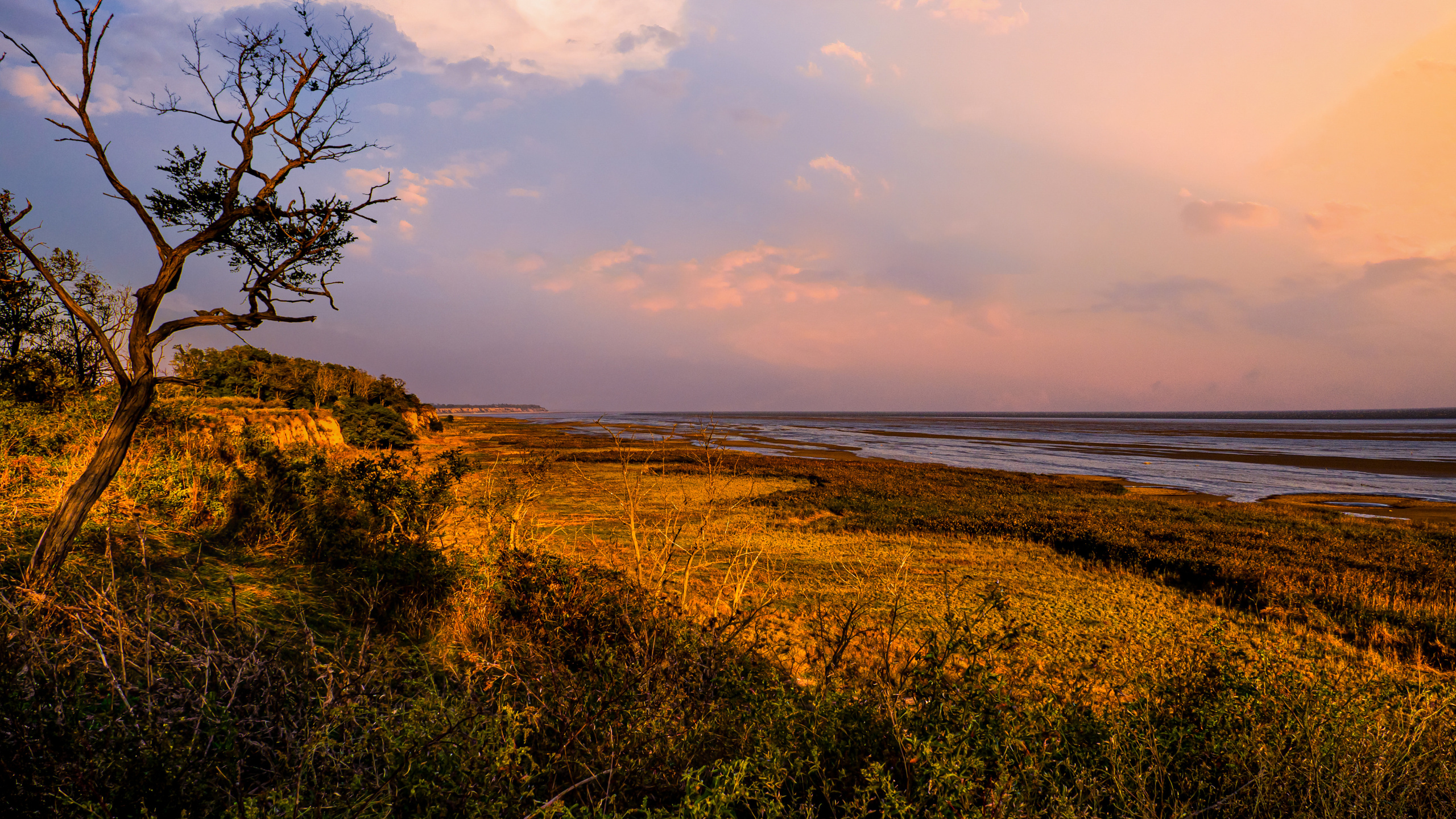 Фото Павла Крайникова