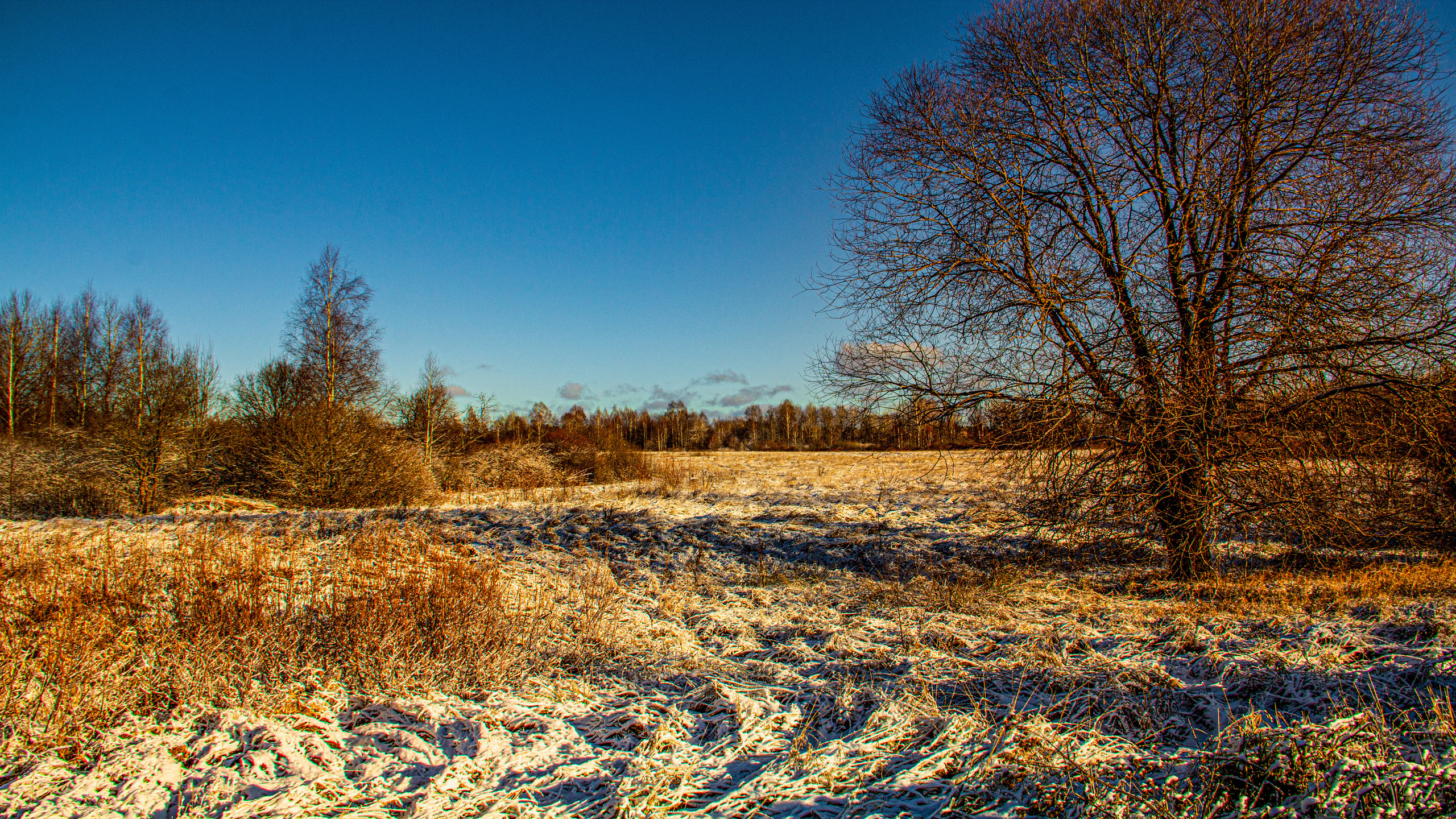 Фото Павла Крайникова
