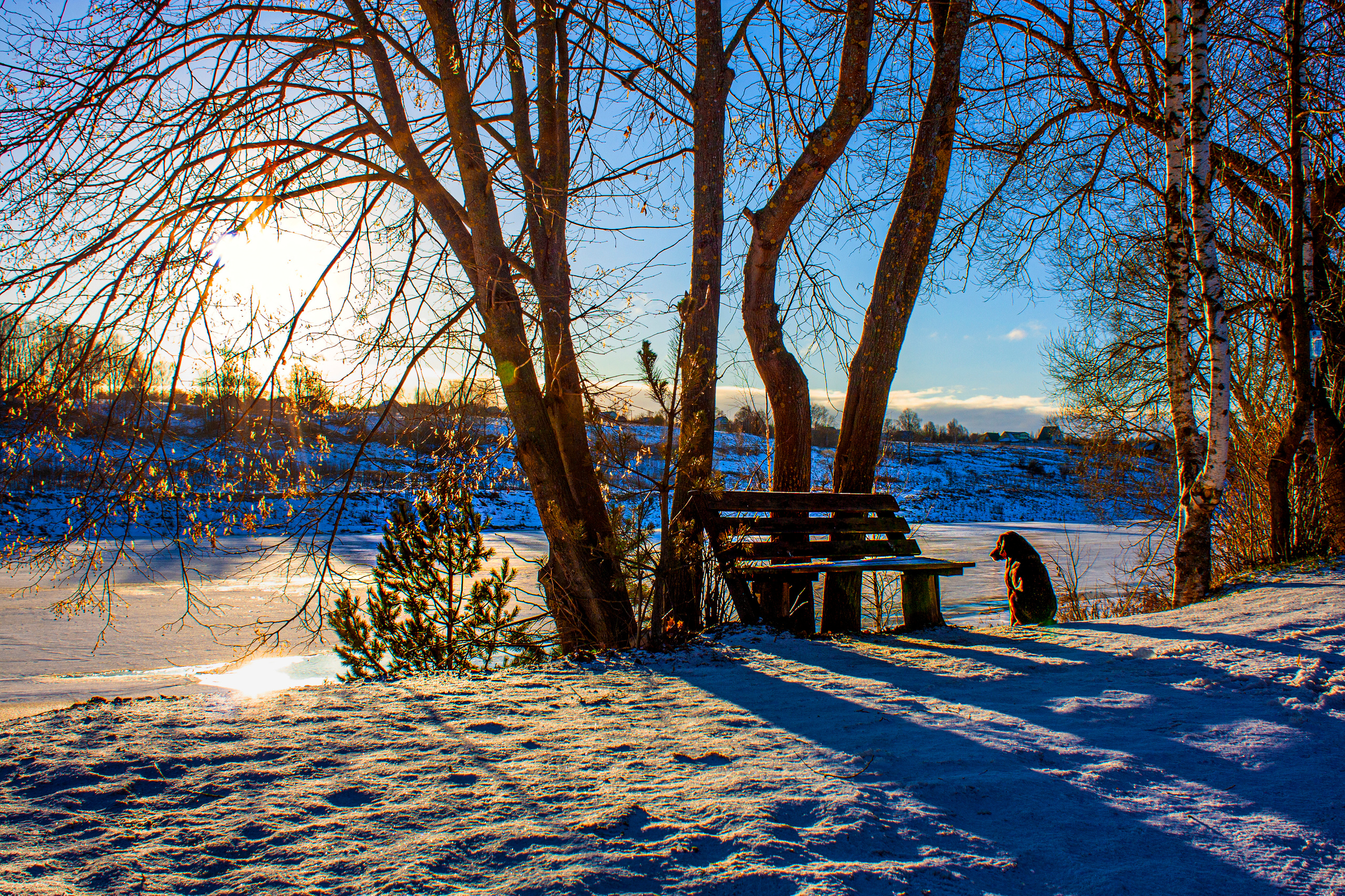 Фото Павла Крайникова