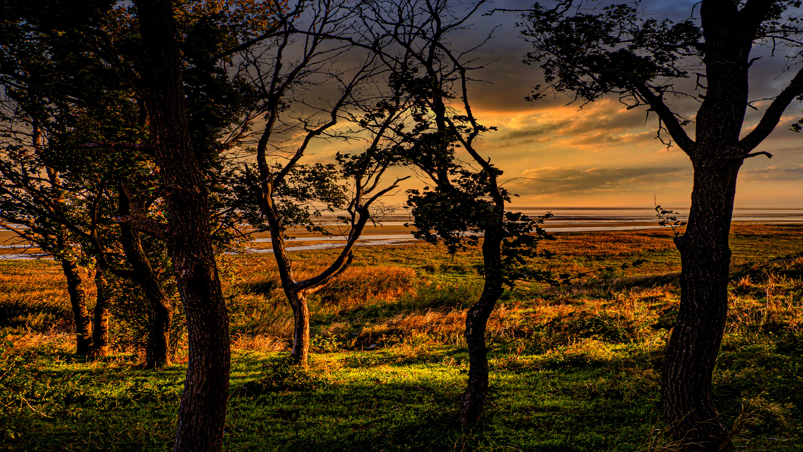 Фото Павла Крайникова