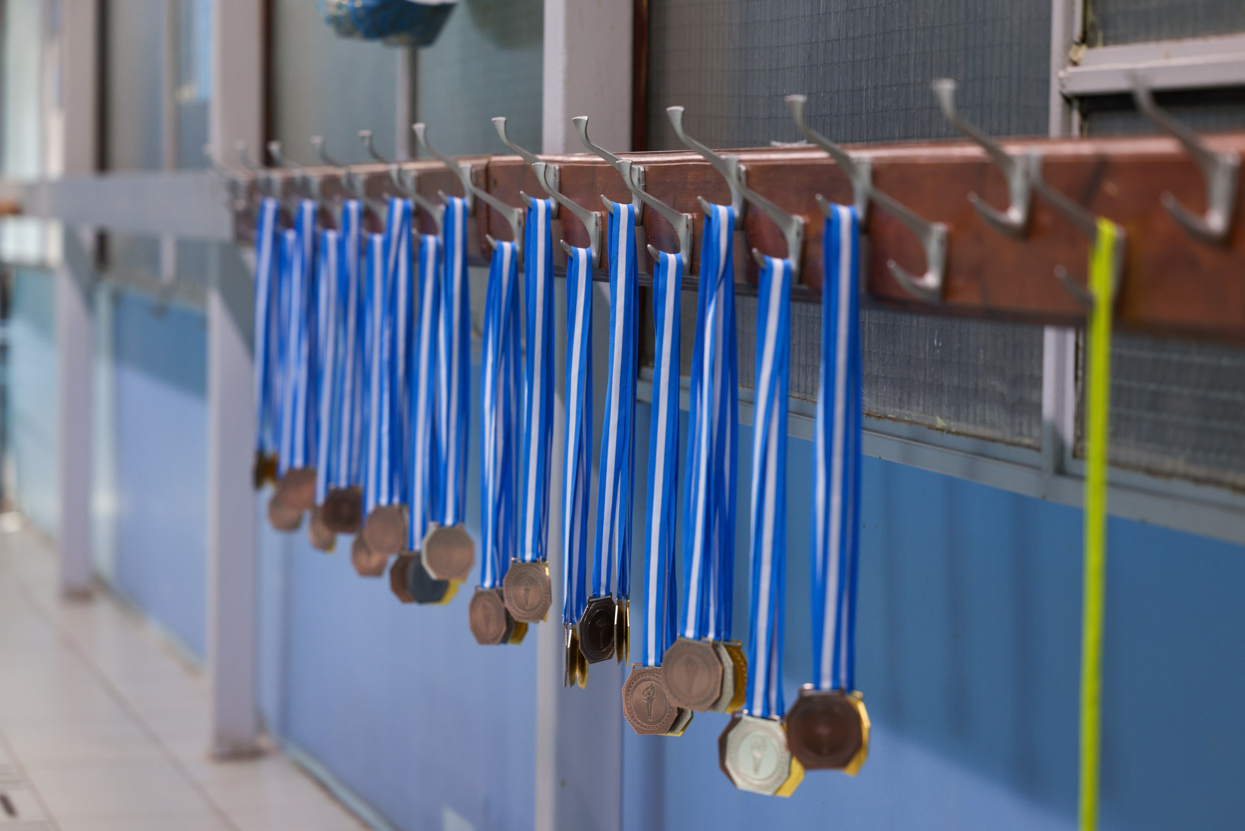 Веселый дельфин. Плавание. Дети 8-9 лет. Фотограф Александр Заломаев