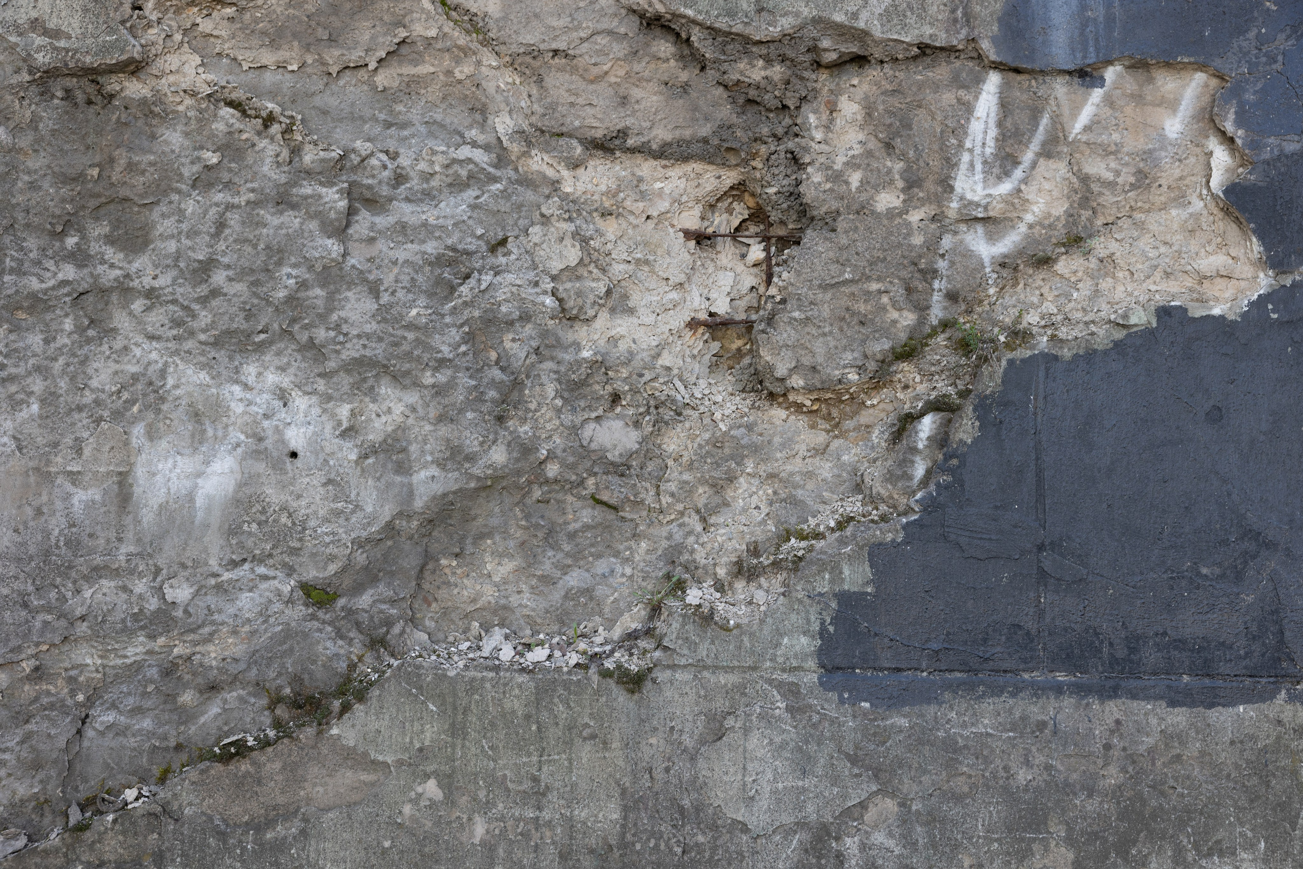 Art prints. Фотограф алина стерхова, алина стерхова фотограф, фотограф москва