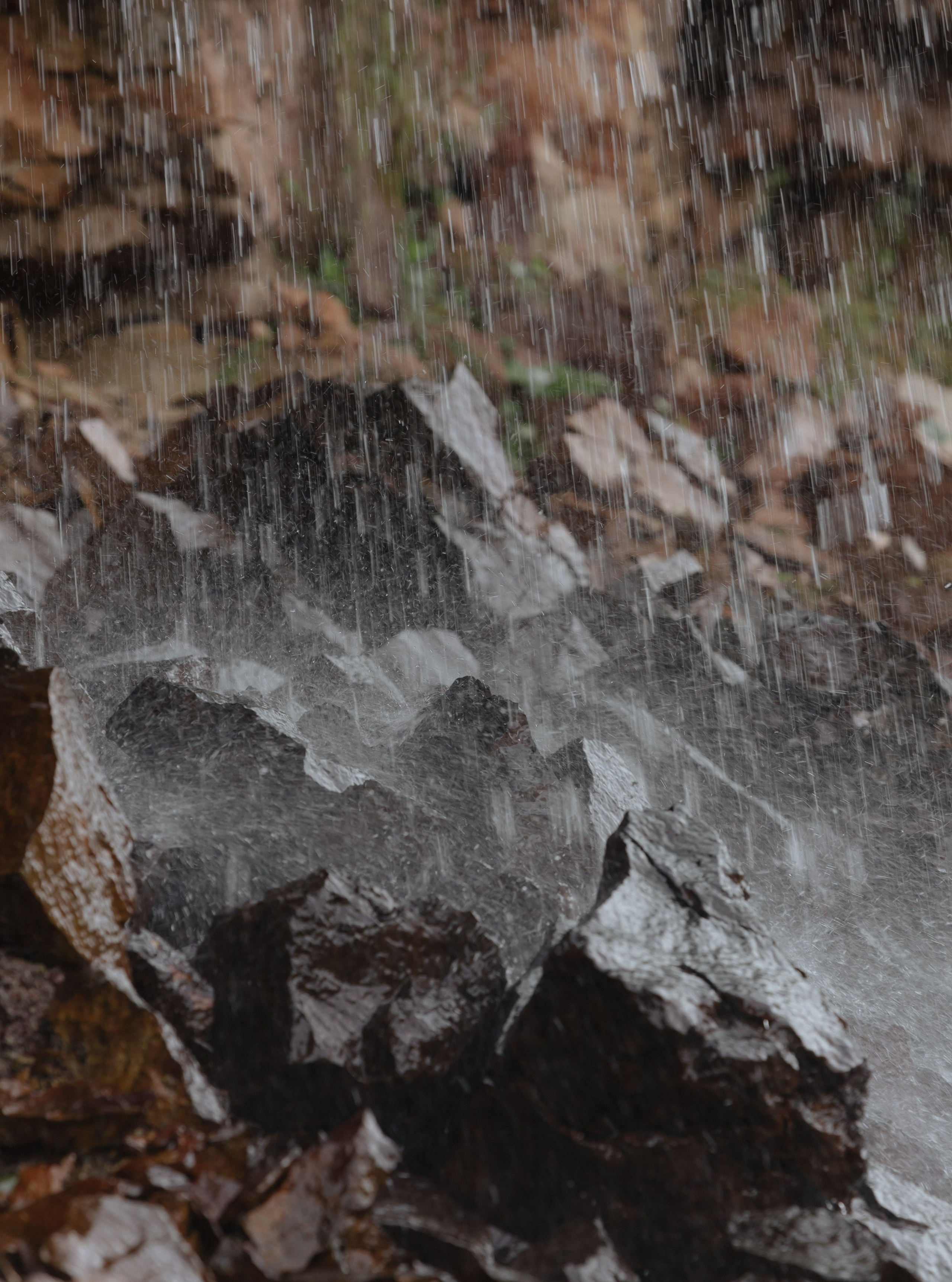 Красота в природе. Портретный фотограф в Санкт-Петербурге Катя Протасевич