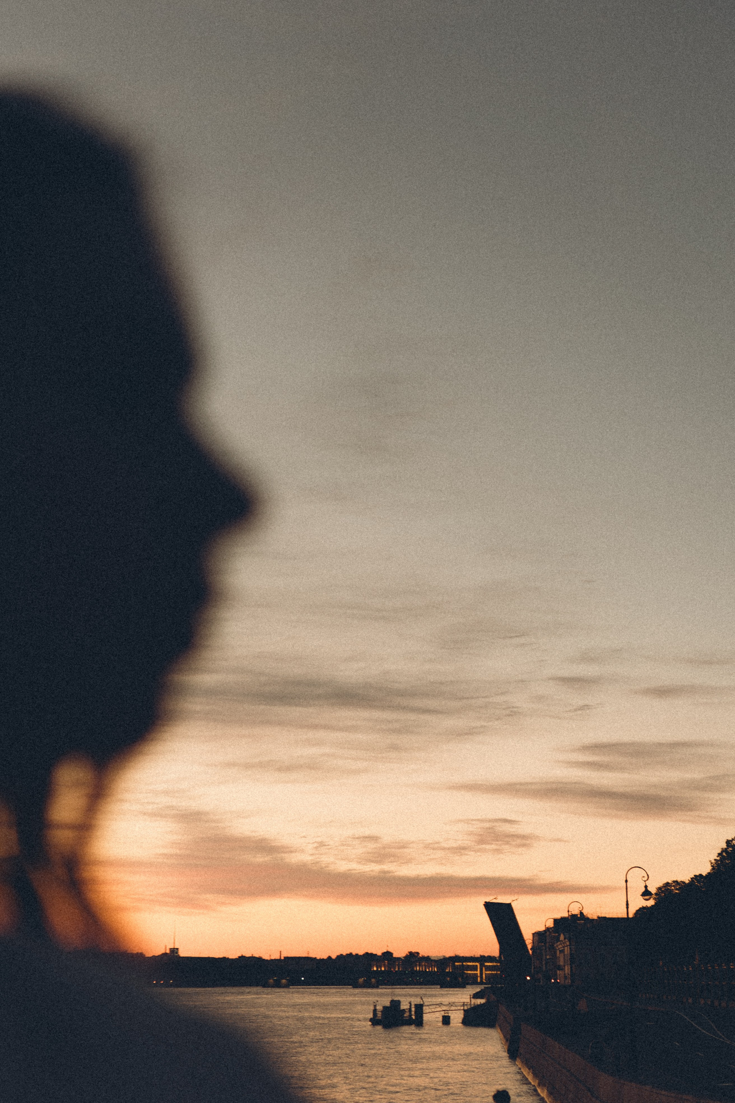 РАССВЕТ С РАЗВОДНЫМИ МОСТАМИ. Профессиональный фотограф, Санкт-Петербург — Виктория Богомолова