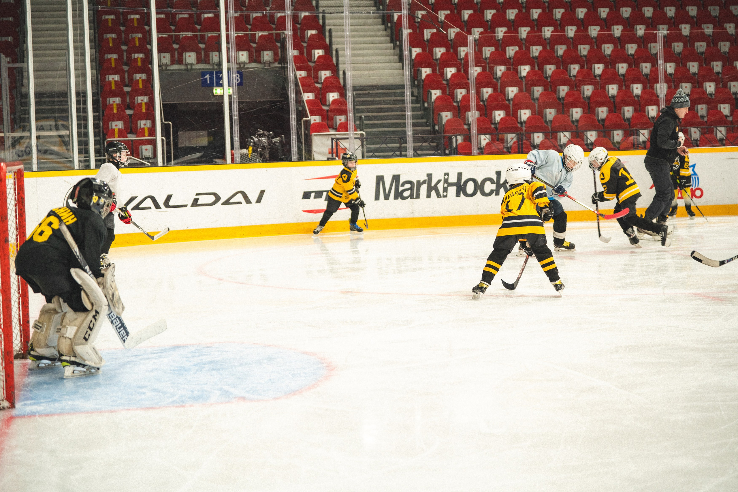 ХК Северсталь (младшая группа). Череповец. Zekons. Фото, видео, нейросети