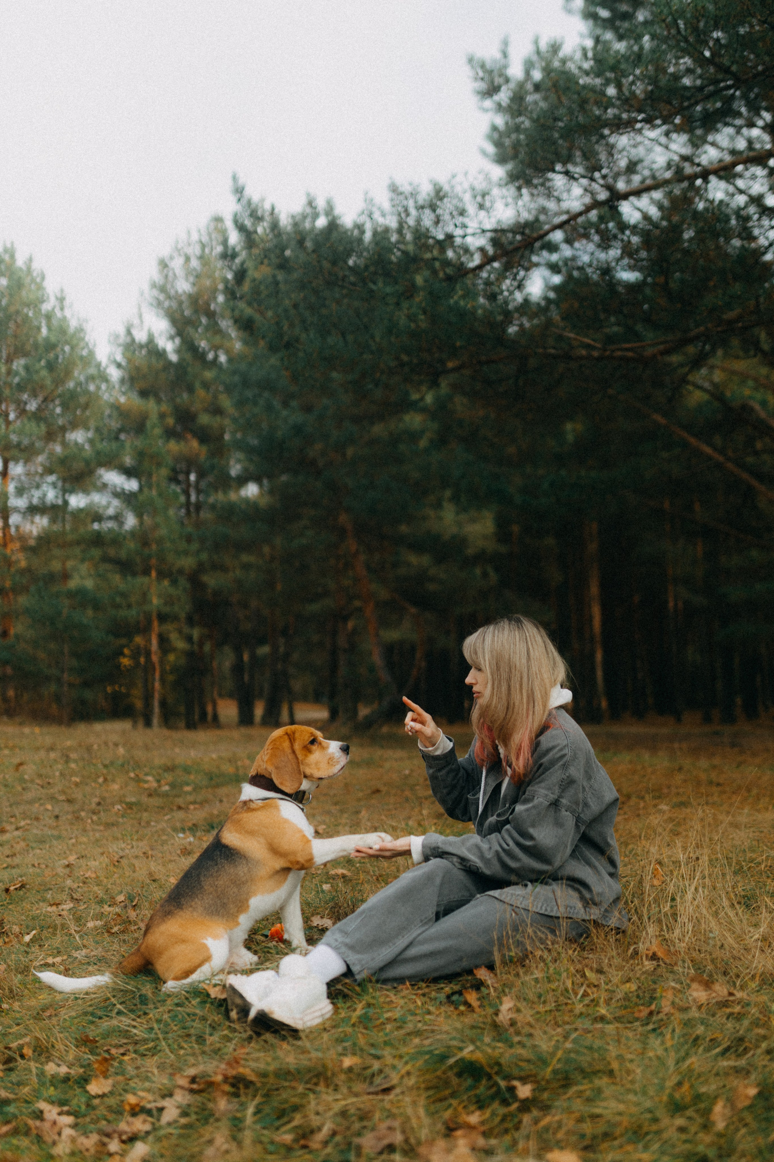 Ксюша & Федя. Прогулка с Лайдом. Фотограф НОГИНСК, Москва, Анастасия Белая